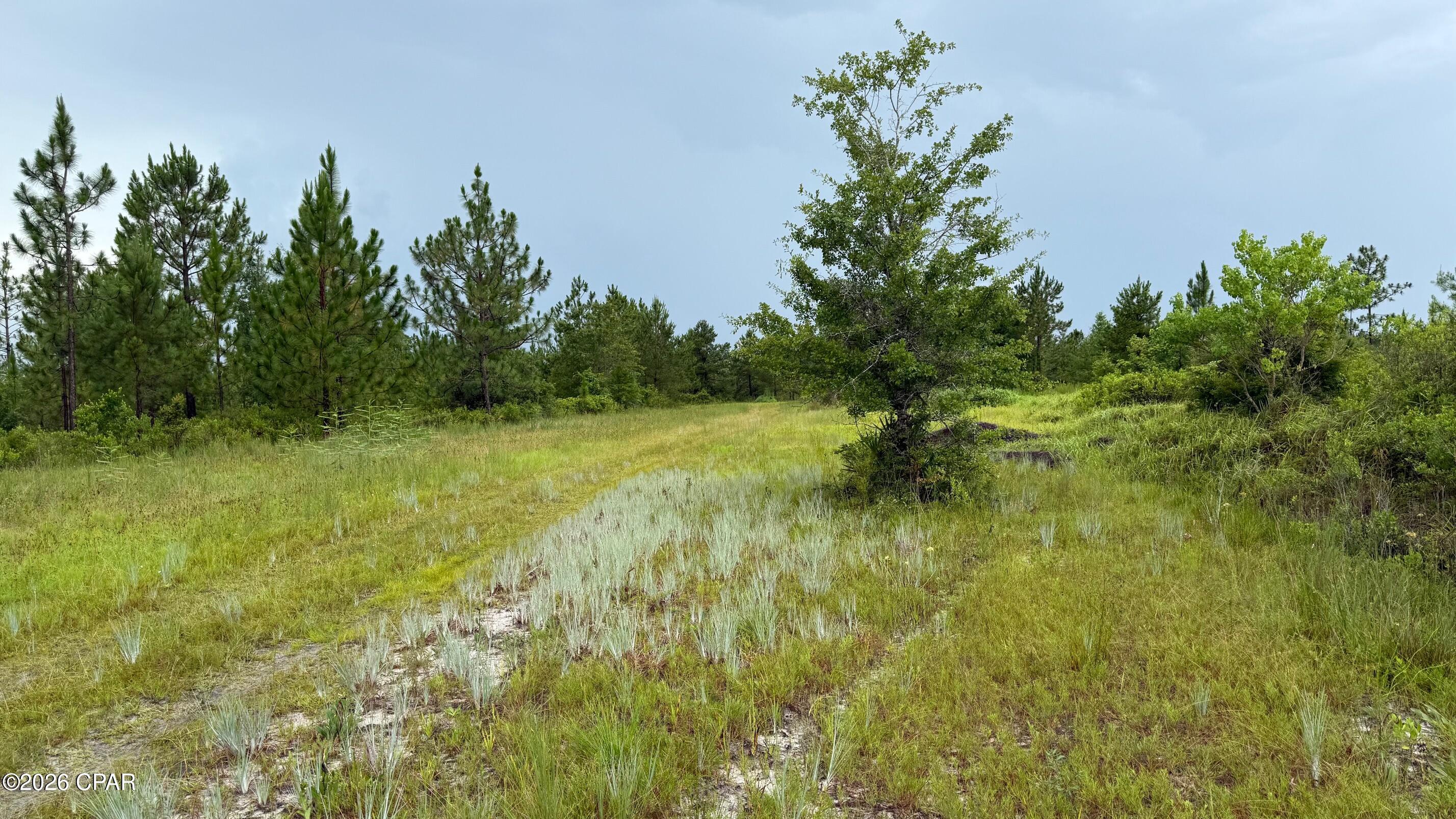 Details for 00 Foster Road, Fountain, FL 32438