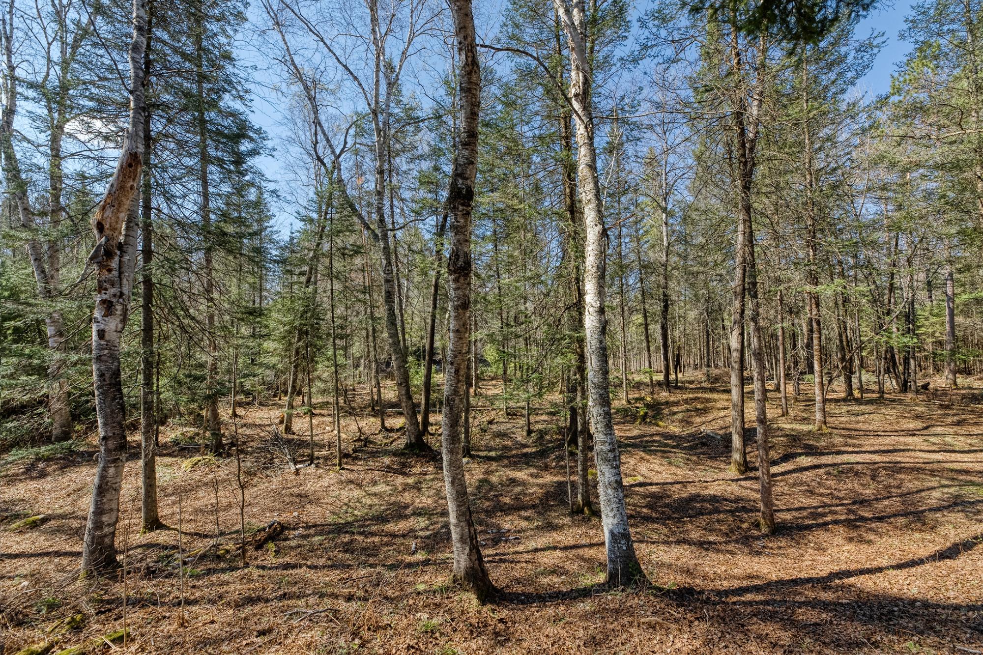 River Property Property 5364 River Run Ln Photo 46