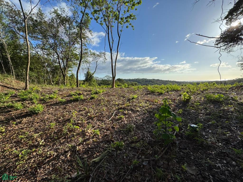 Lote con Vista al Mar, 10 minutos de Playa Marbella