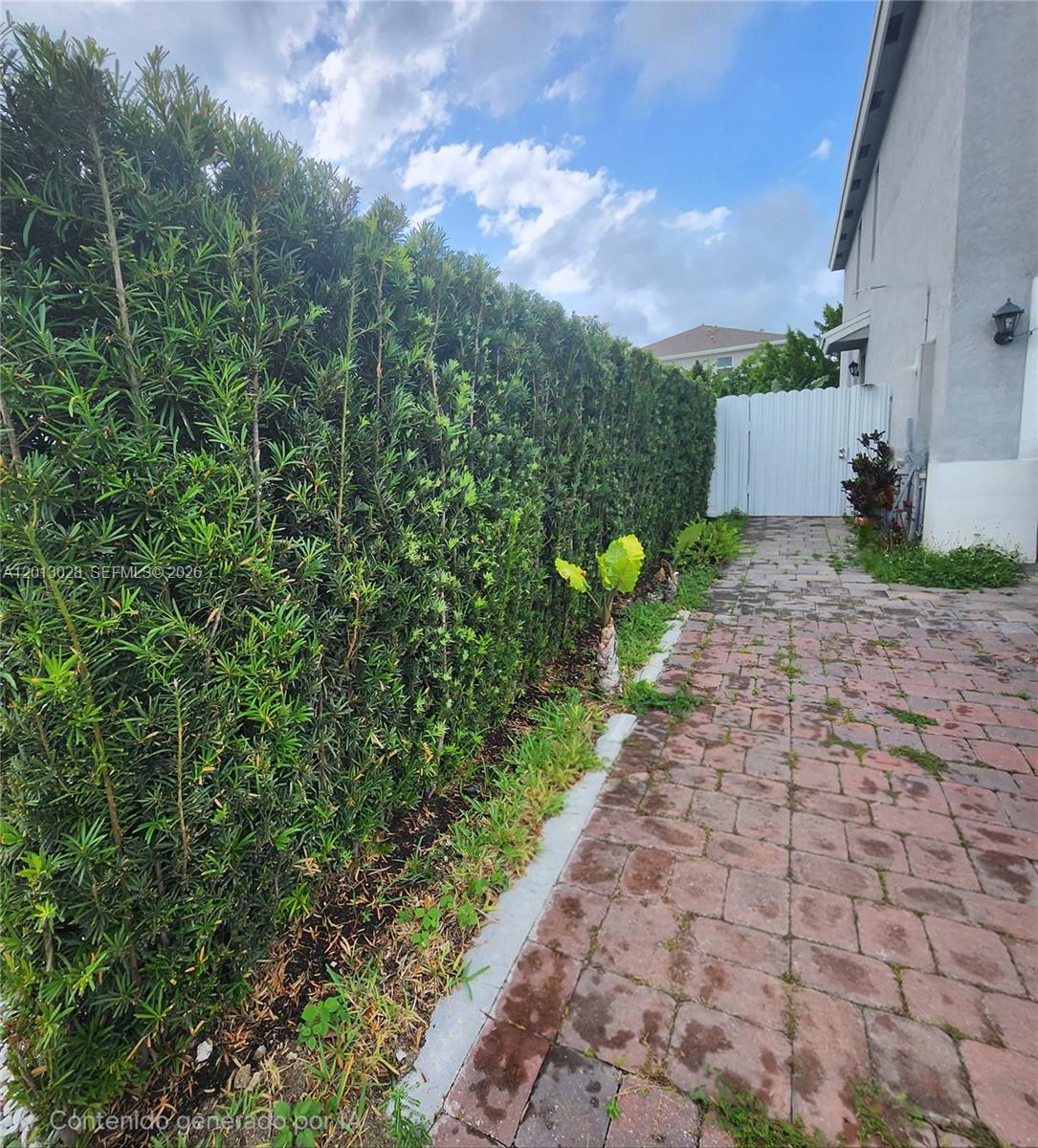 Lucky Start At Sunrise Es