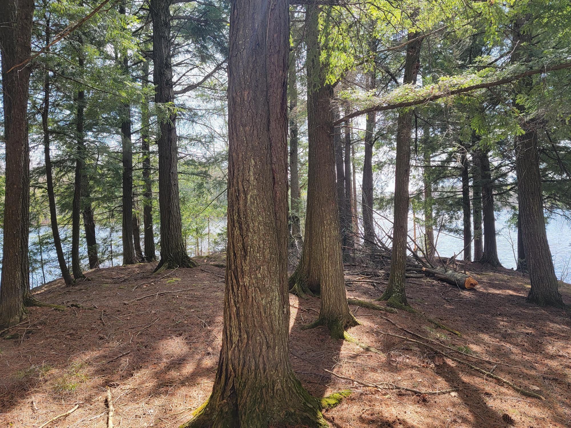 French Lake Property 4526W Deadwood Rd Photo 12