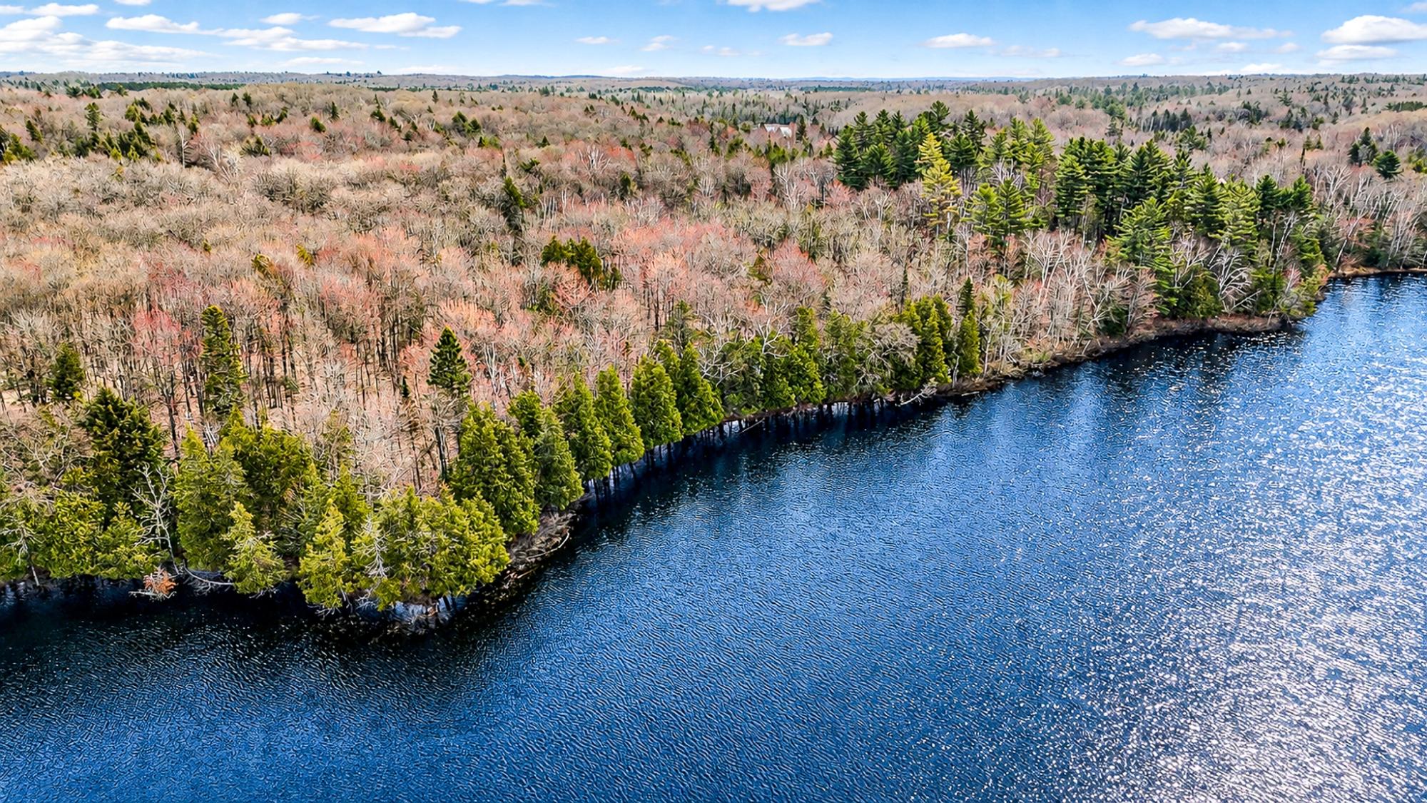 Long Lake MC Property 2086 Collins Rd Photo 36