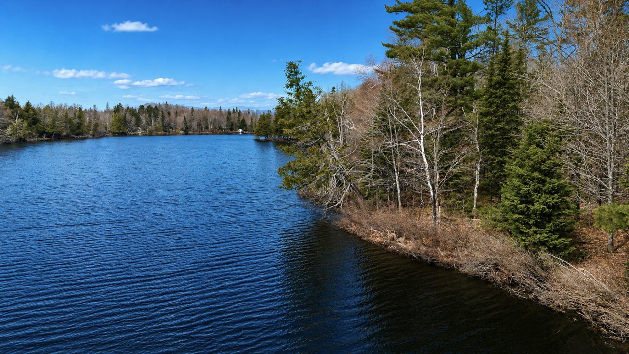 Long Lake MC Property 2086 Collins Rd Photo 37
