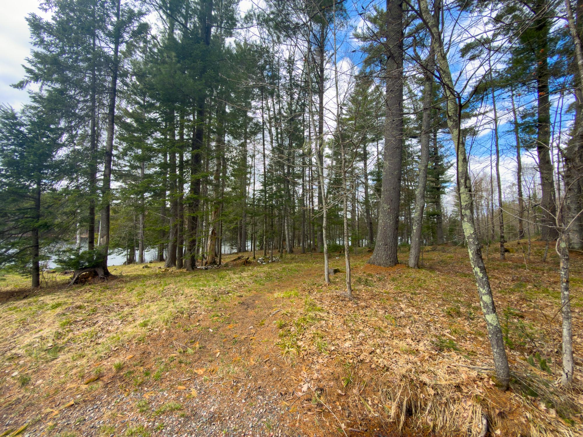 Long Lake MC Property 2086 Collins Rd Photo 41