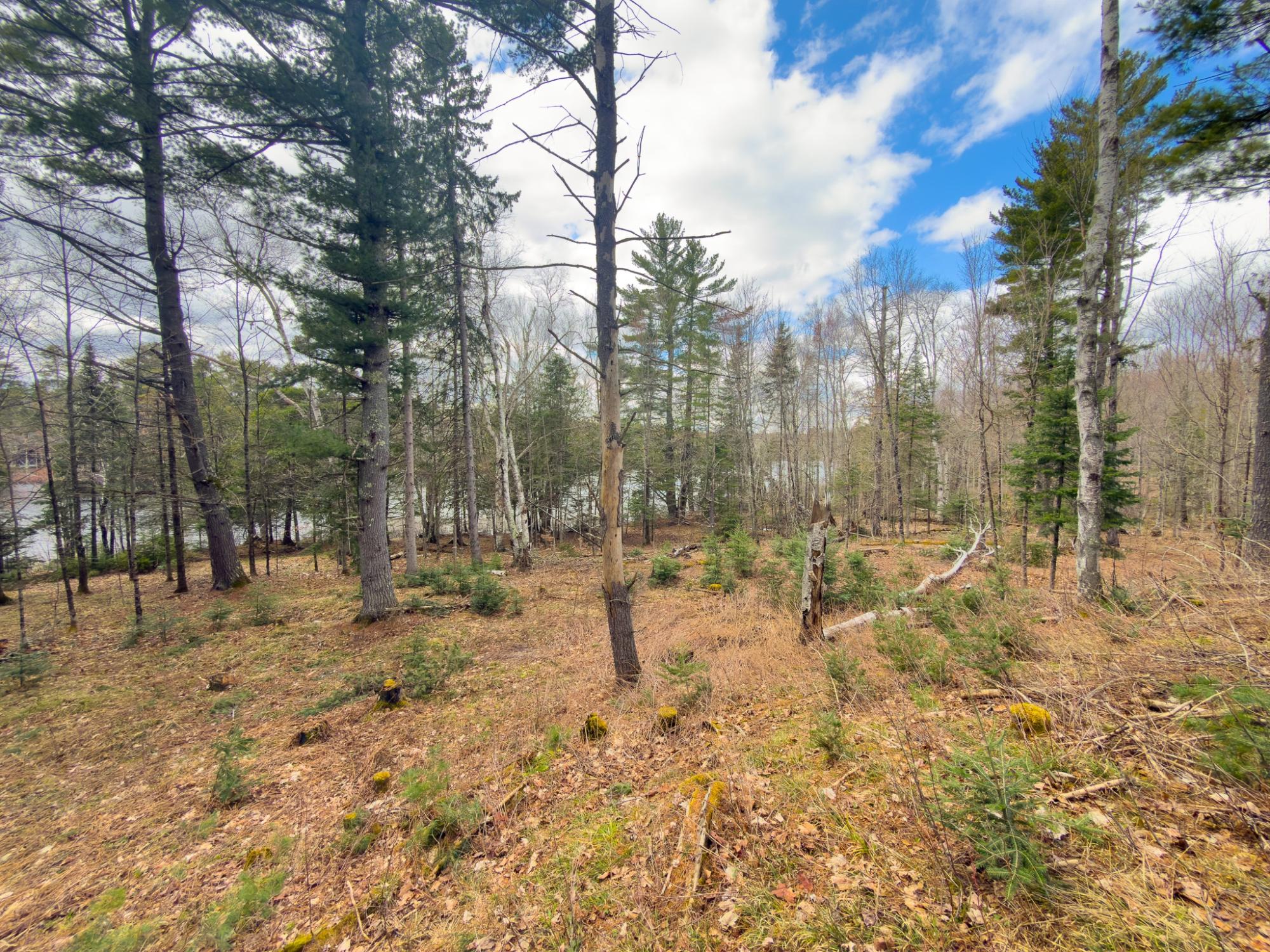 Long Lake MC Property 2086 Collins Rd Photo 42