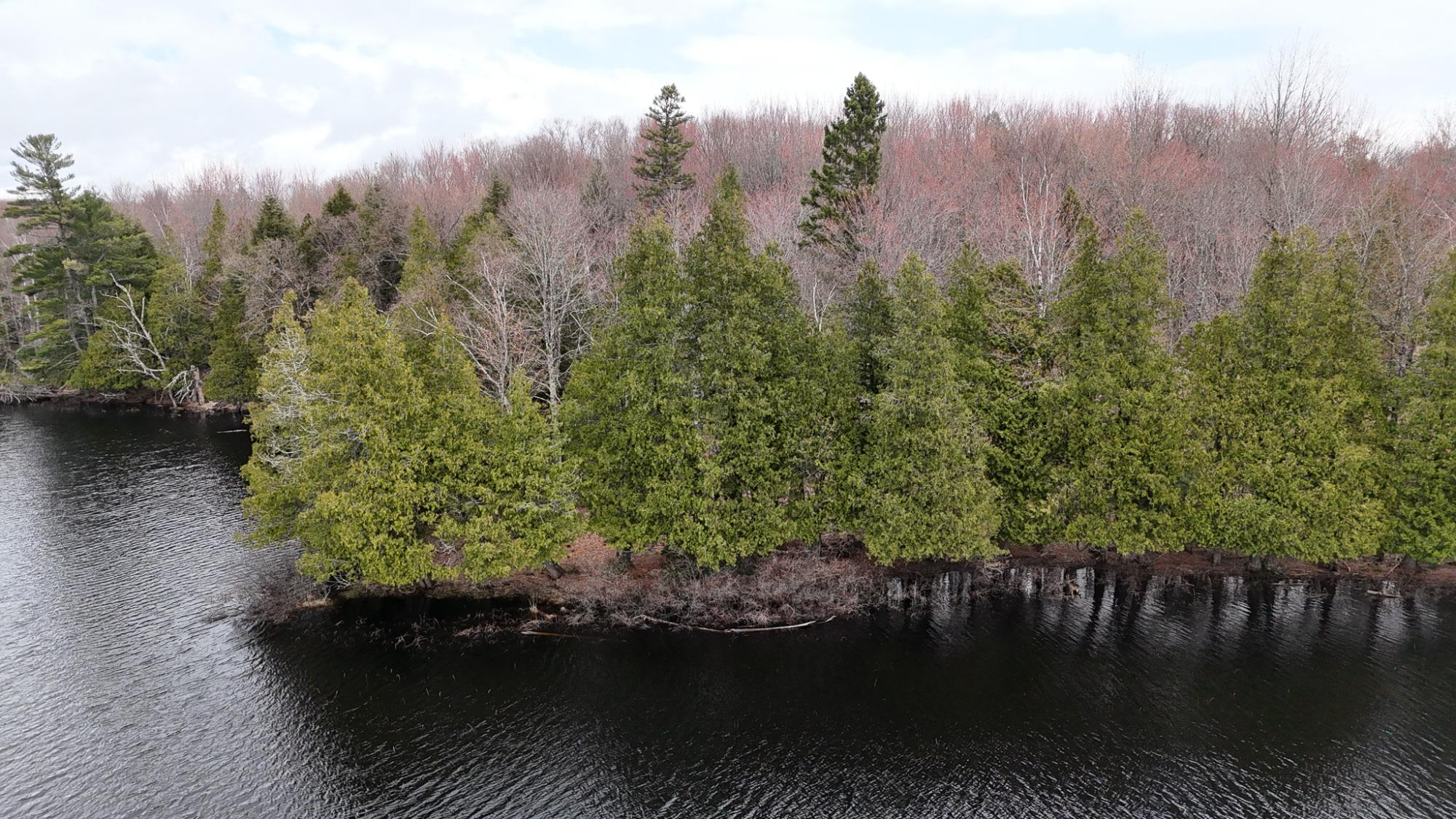 Long Lake MC Property 2086 Collins Rd Photo 47