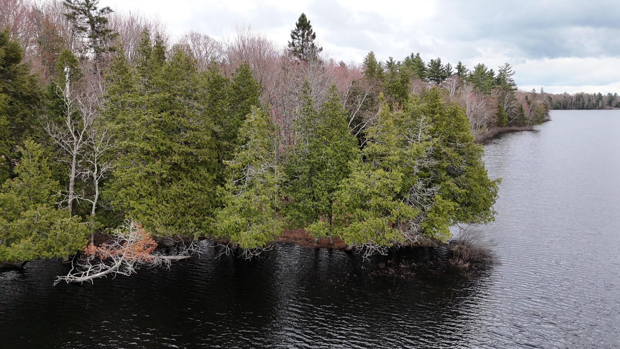 Long Lake MC Property 2086 Collins Rd Photo 48