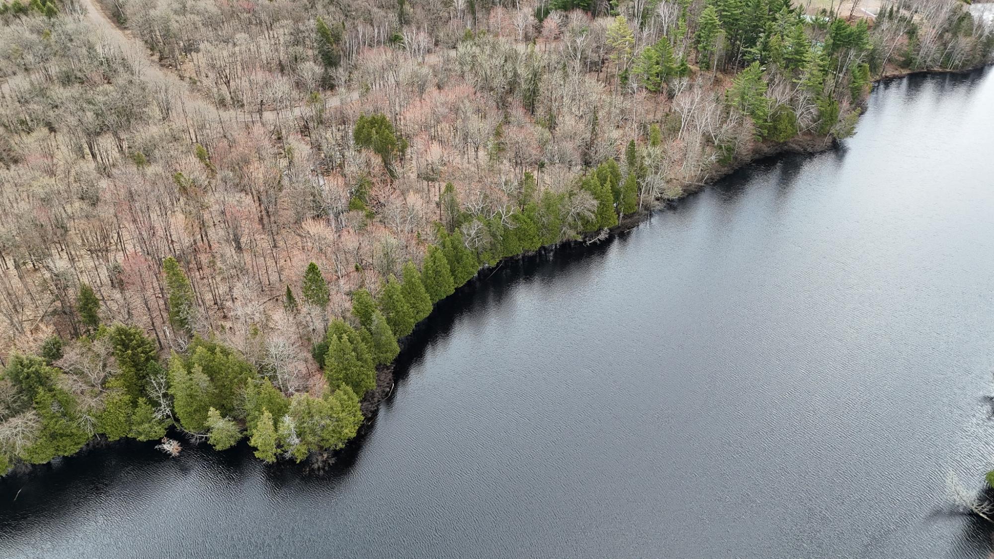 Long Lake MC Property 2086 Collins Rd Photo 49