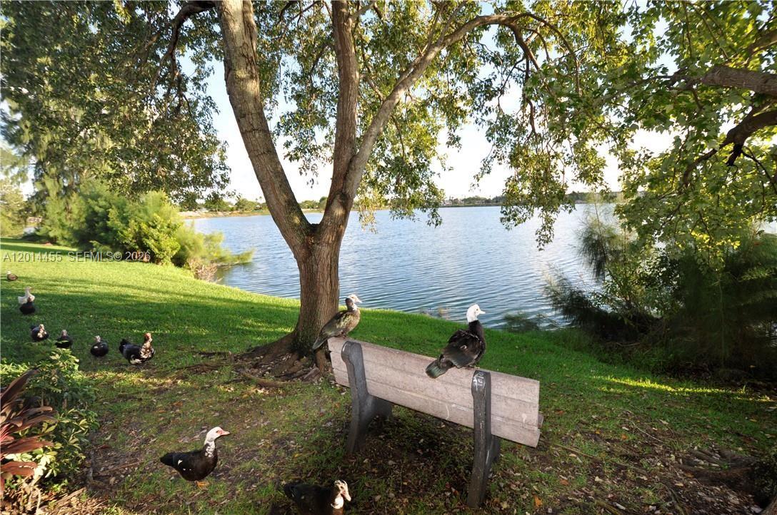 Property photo # 9