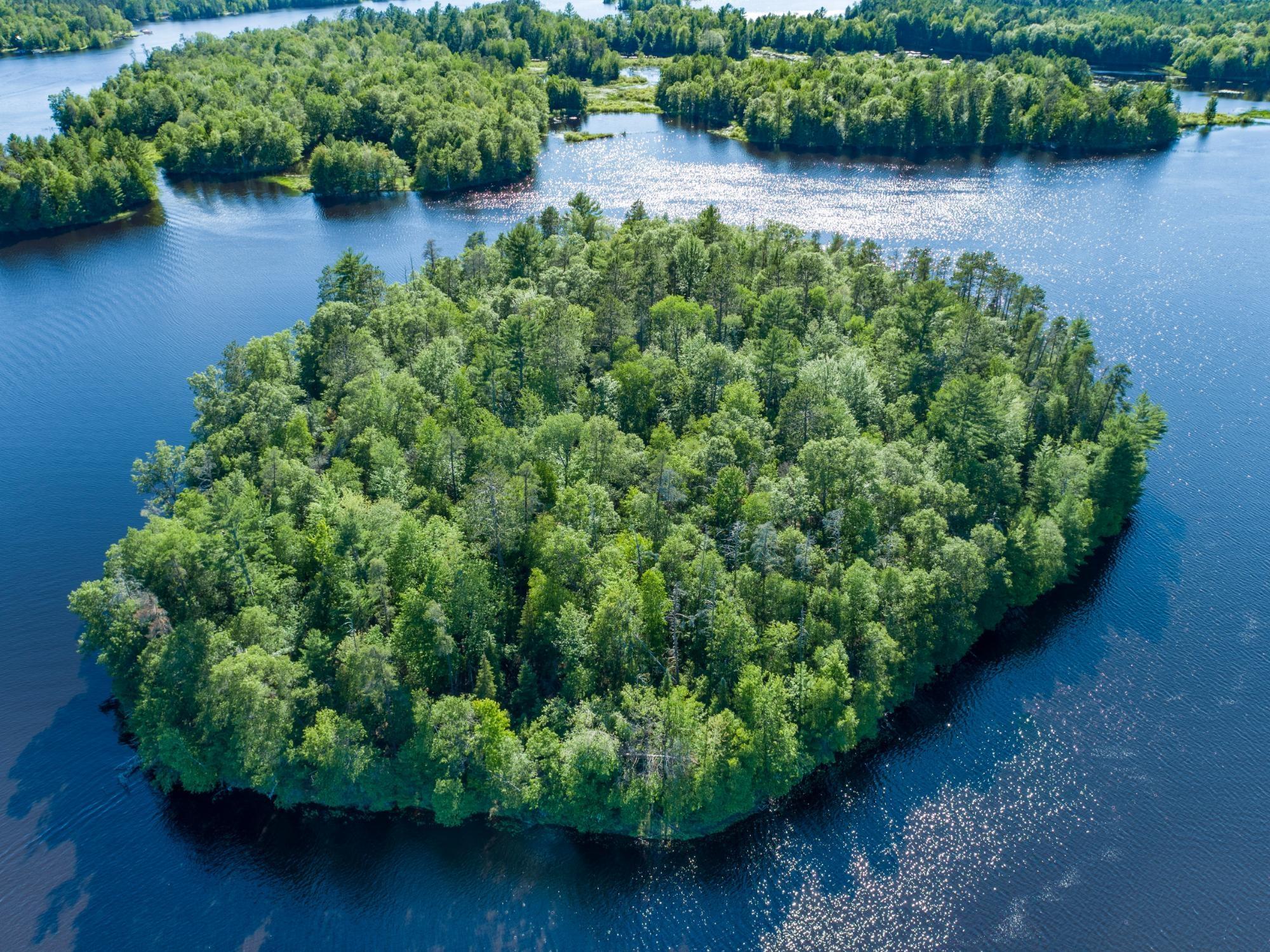 River Property Property 7 acres Nokomis Dr Photo 10