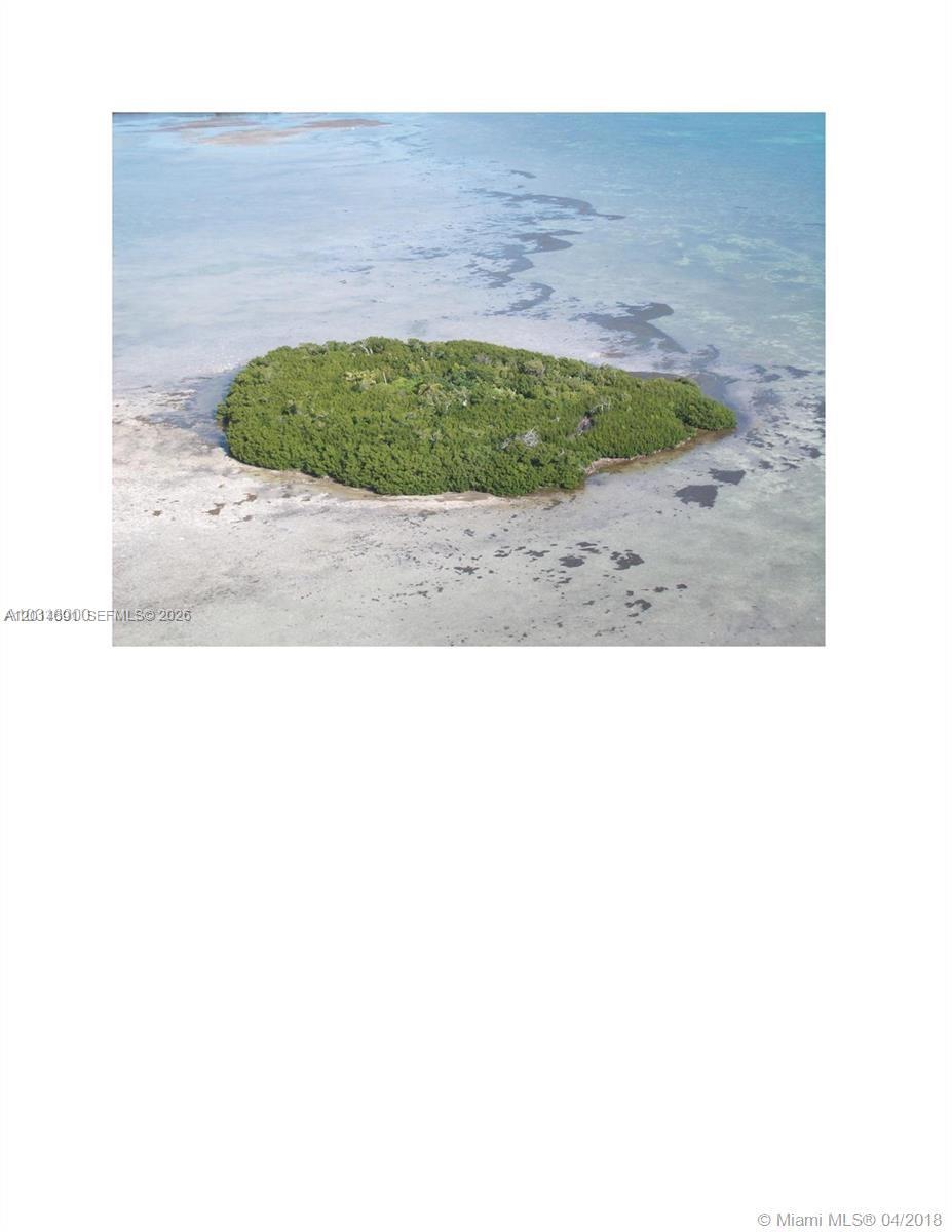 Big Pine Key Inc (31.0)