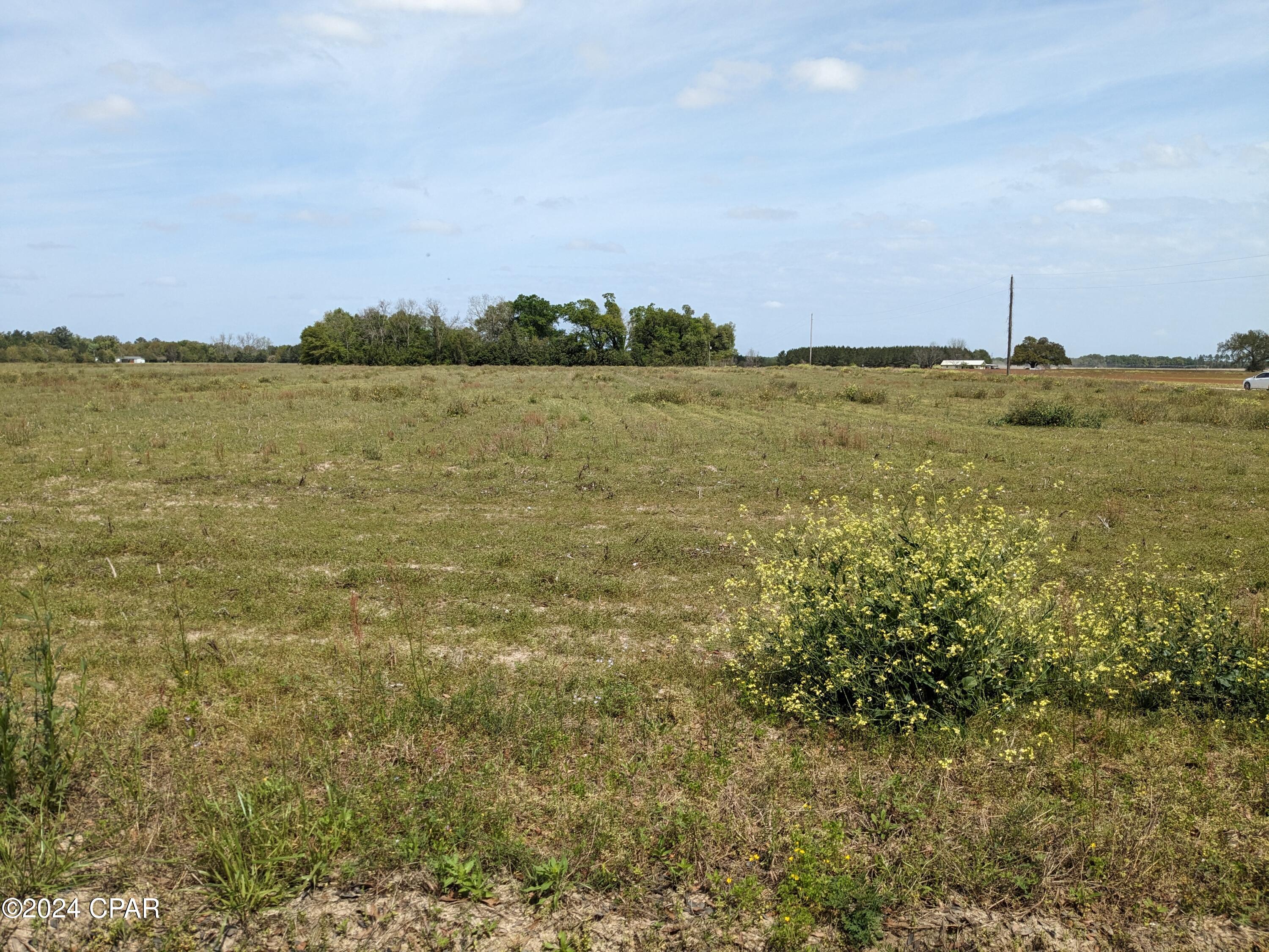 Image 5 For 0 Fl-71  