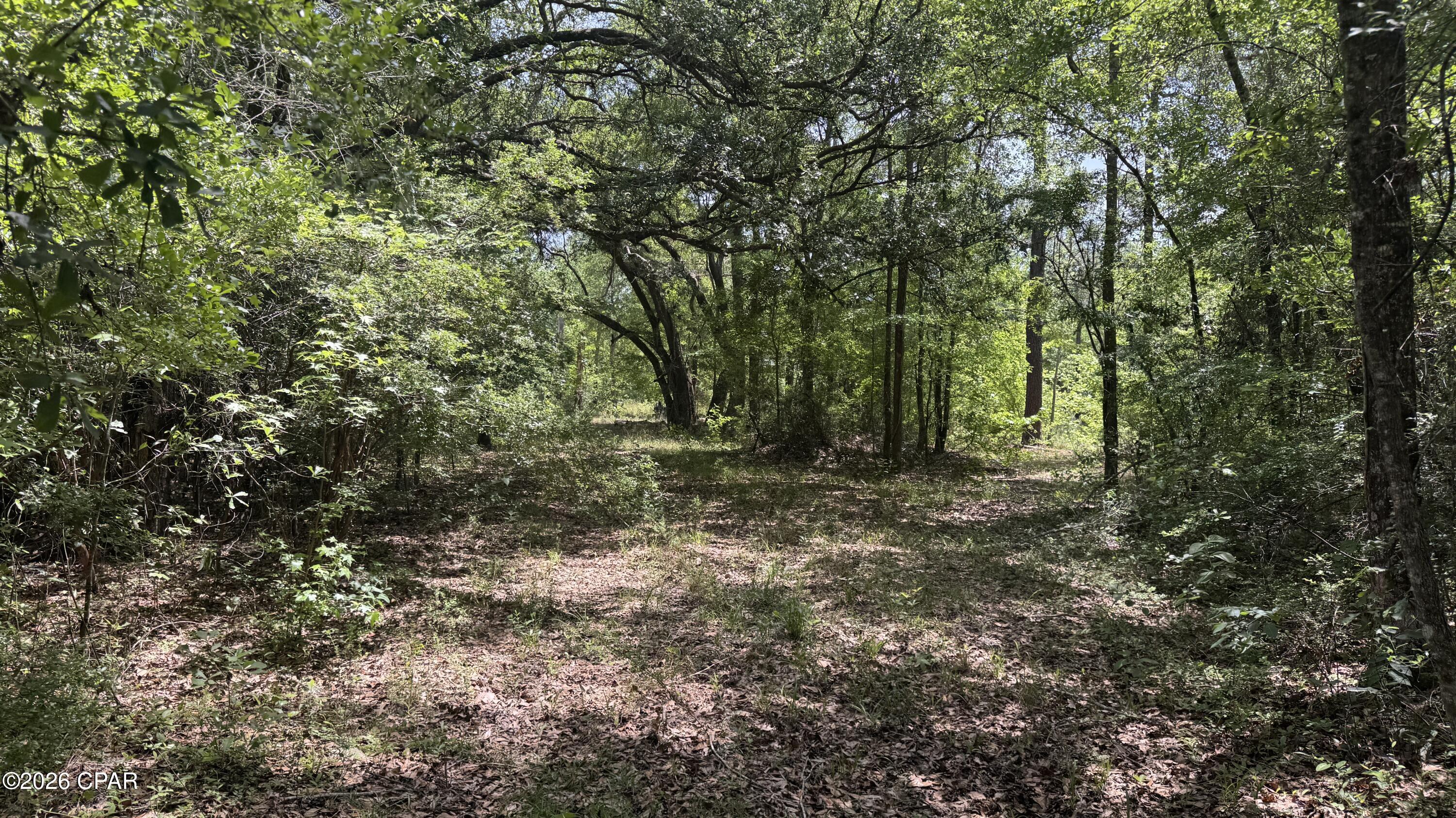 Image 4 For Tbd Darby Lane