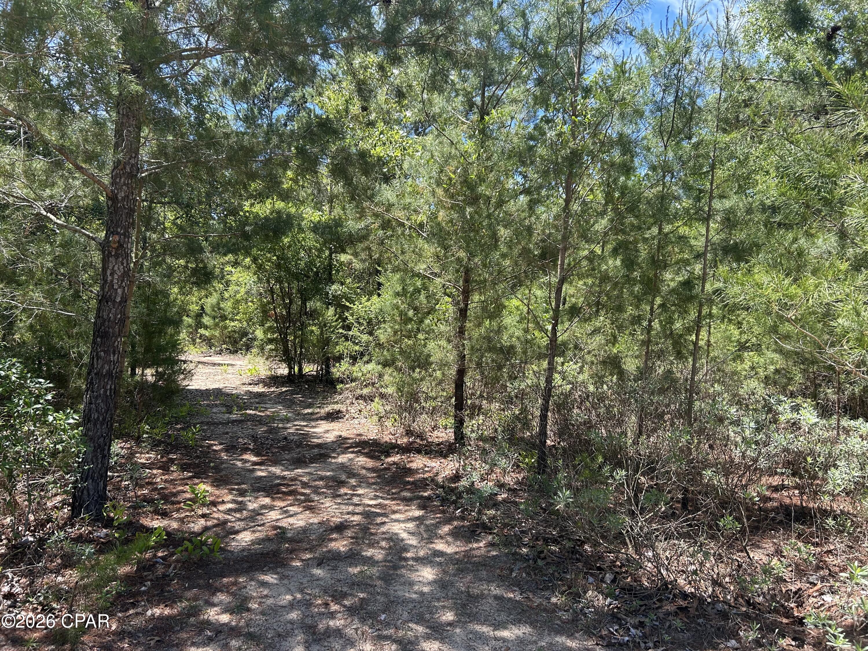 Image 7 For 0 Bonnett Pond Road