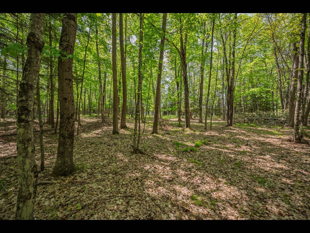 Clearwater Lake Property Lot 23 Bonita Pt Photo 3