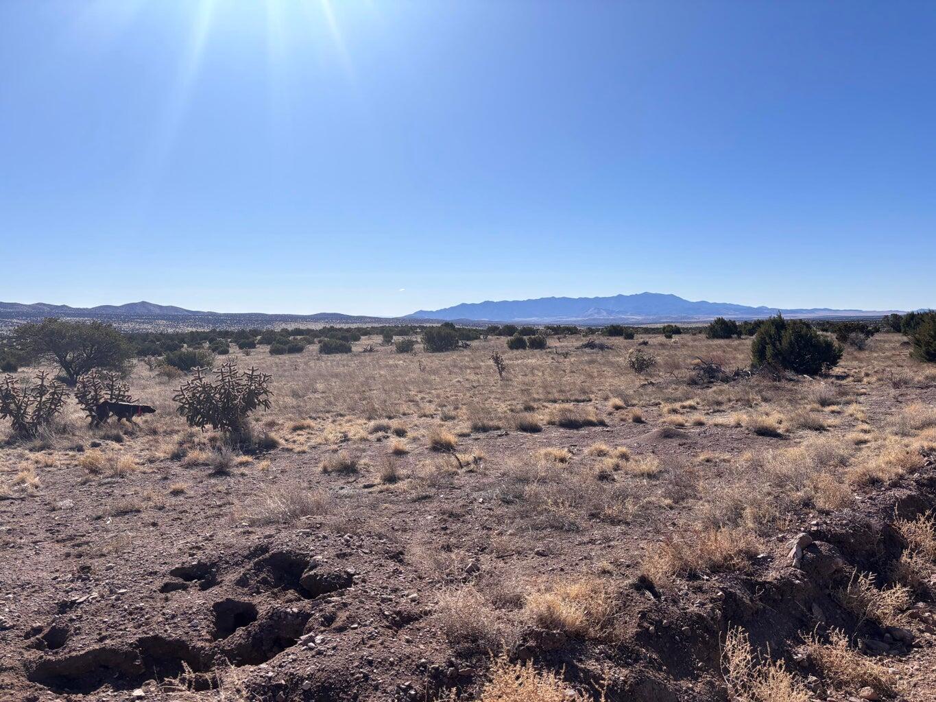 Photo 20 —  lot 168 Pinon Springs