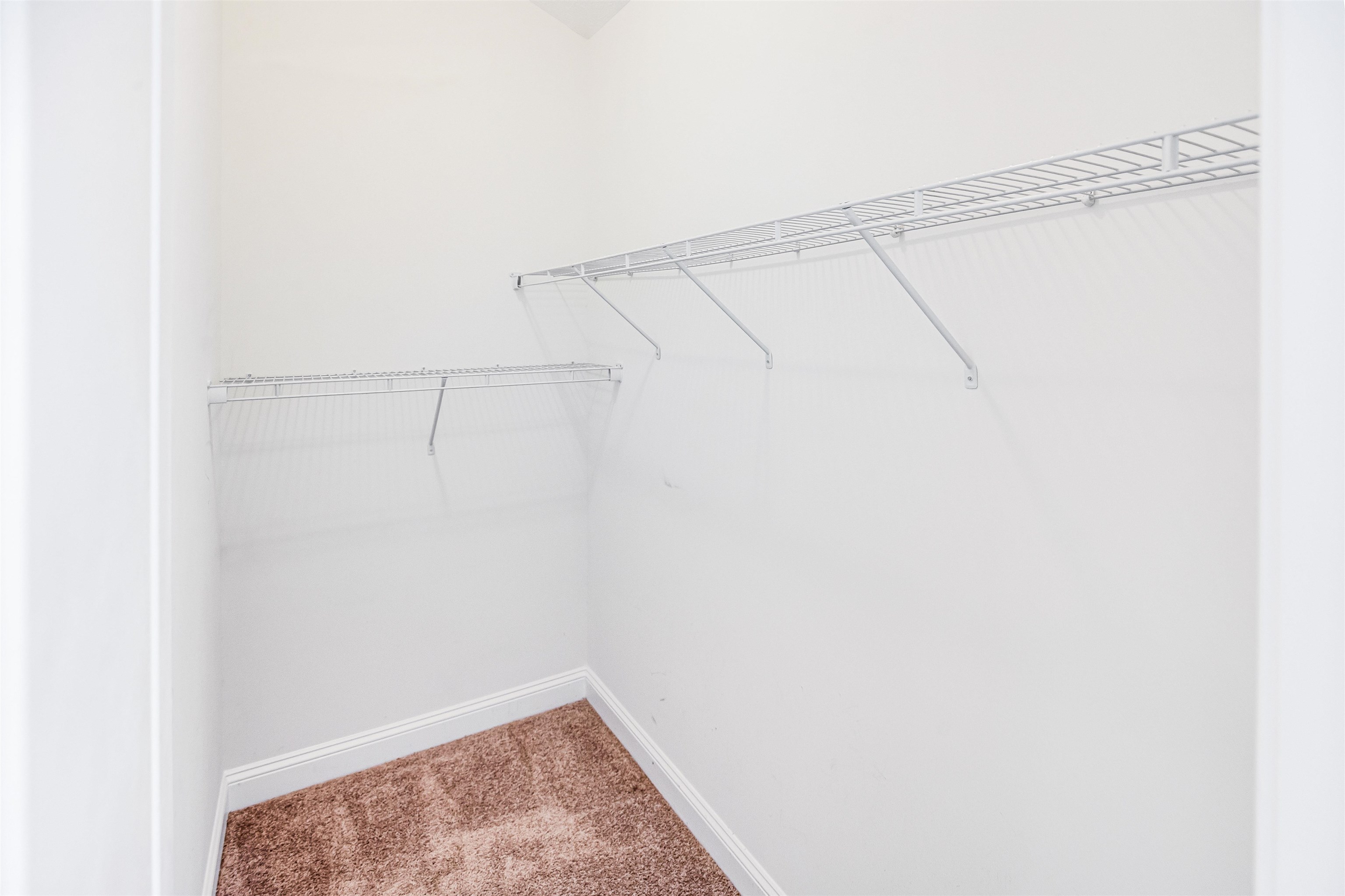 2611951 | Photo 25