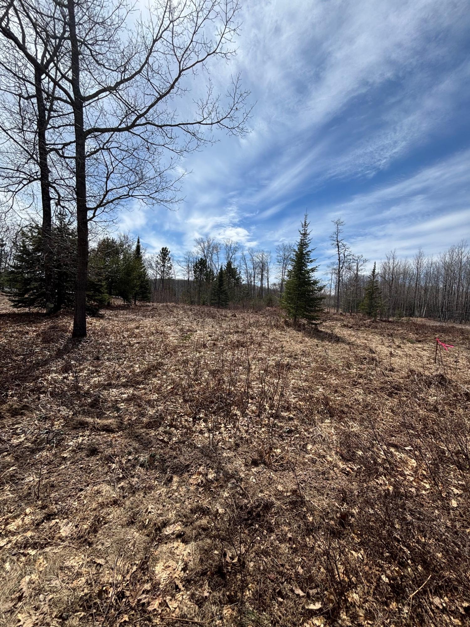 Joyce Lake Property off Cth S Photo 14