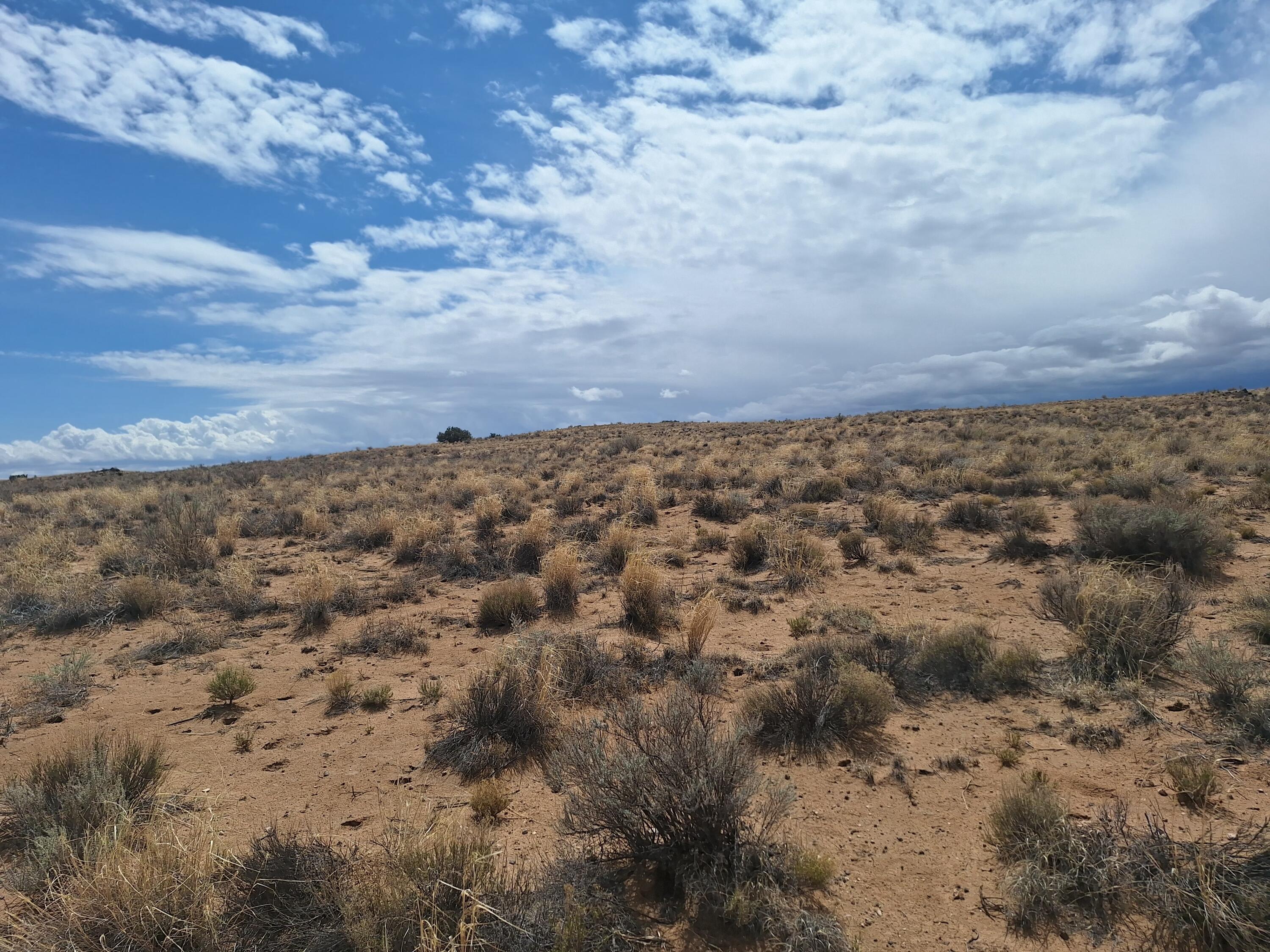 Photo 9 — 0 Faciel Drive Road NW