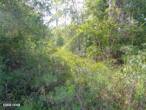 Image 3 For Lot 7 & 8 Mckenzie Boulevard
