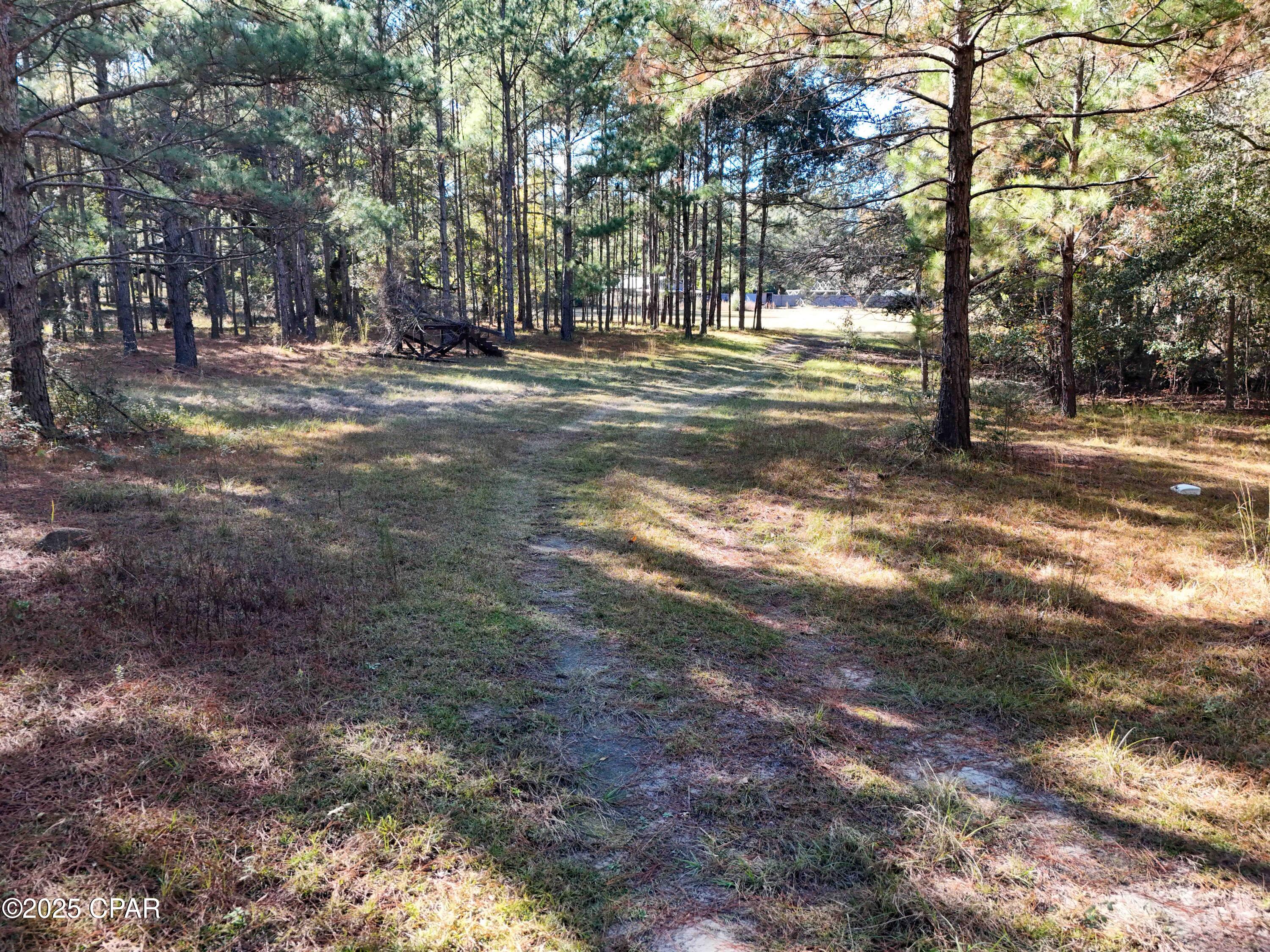 Homes for sale in Bonifay, FL | 1680 Will Lee Rd, Bonifay, FL 32425 | MLS# 789668