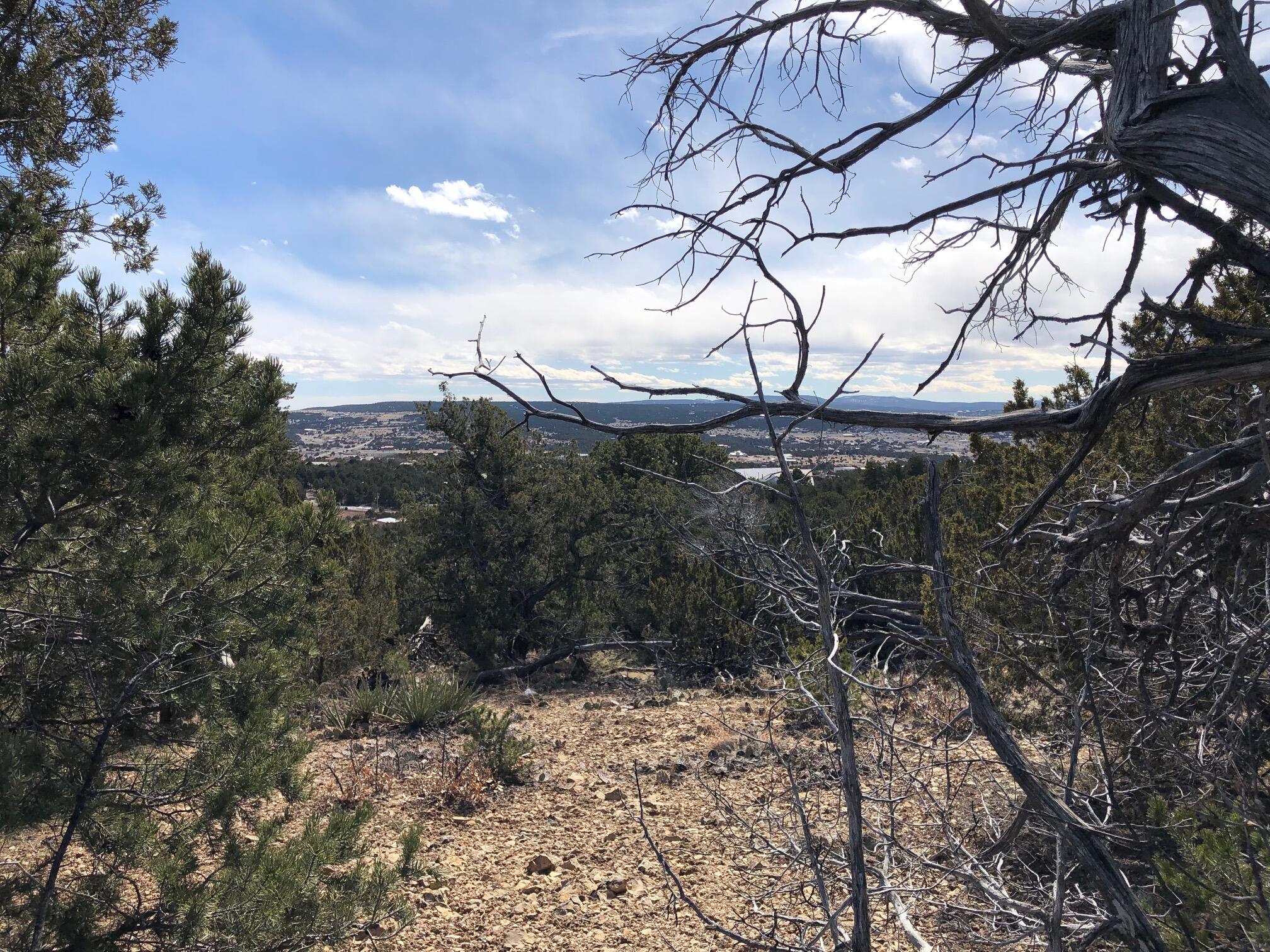Photo 2 of Land for sale at 6 Joy Ct, Sandia Park, NM 87047 | MLS# 1103294 | Listing updated on 2026-10-19