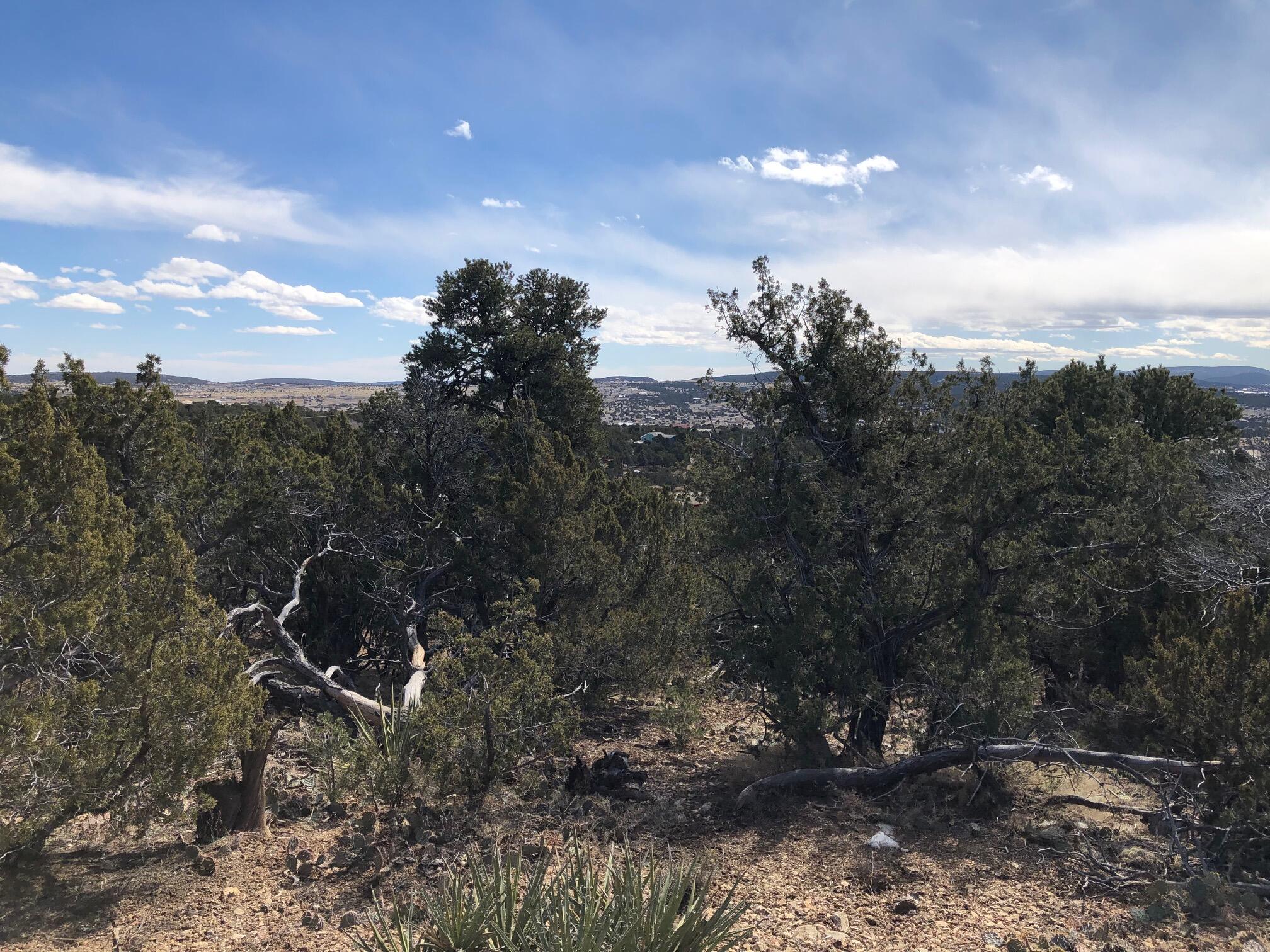 Photo 3 of Land for sale at 6 Joy Ct, Sandia Park, NM 87047 | MLS# 1103294 | Listing updated on 2026-10-19