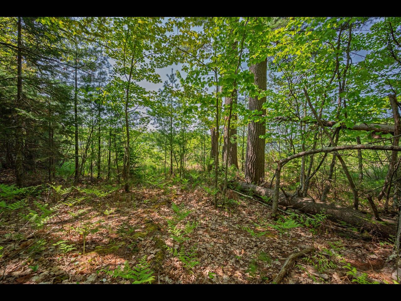 Clearwater Lake Property Lot 24 Bonita Pt Photo 2