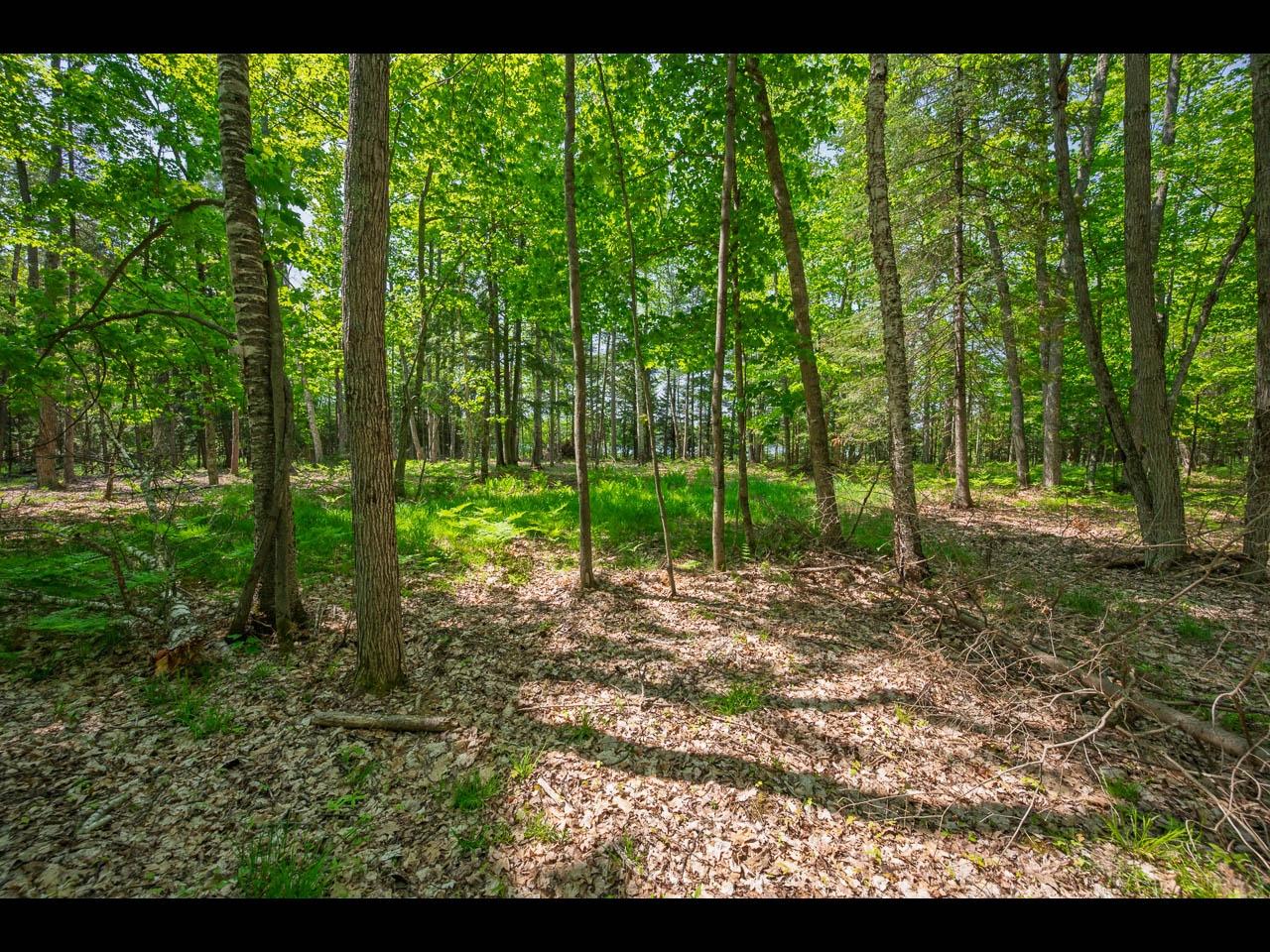 Clearwater Lake Property Lot 24 Bonita Pt Photo 3