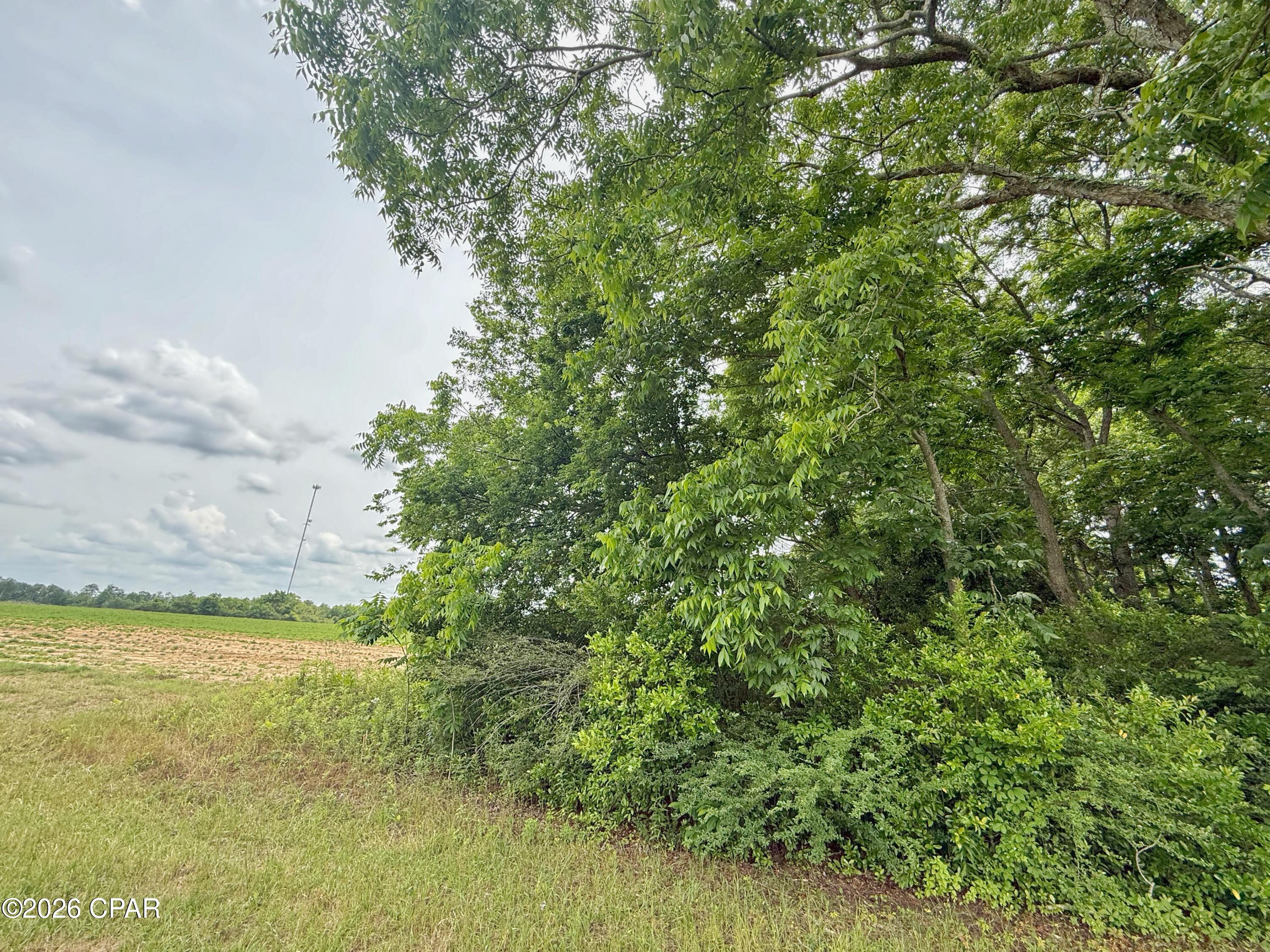 Image 15 For 5107 Cloverdale Road
