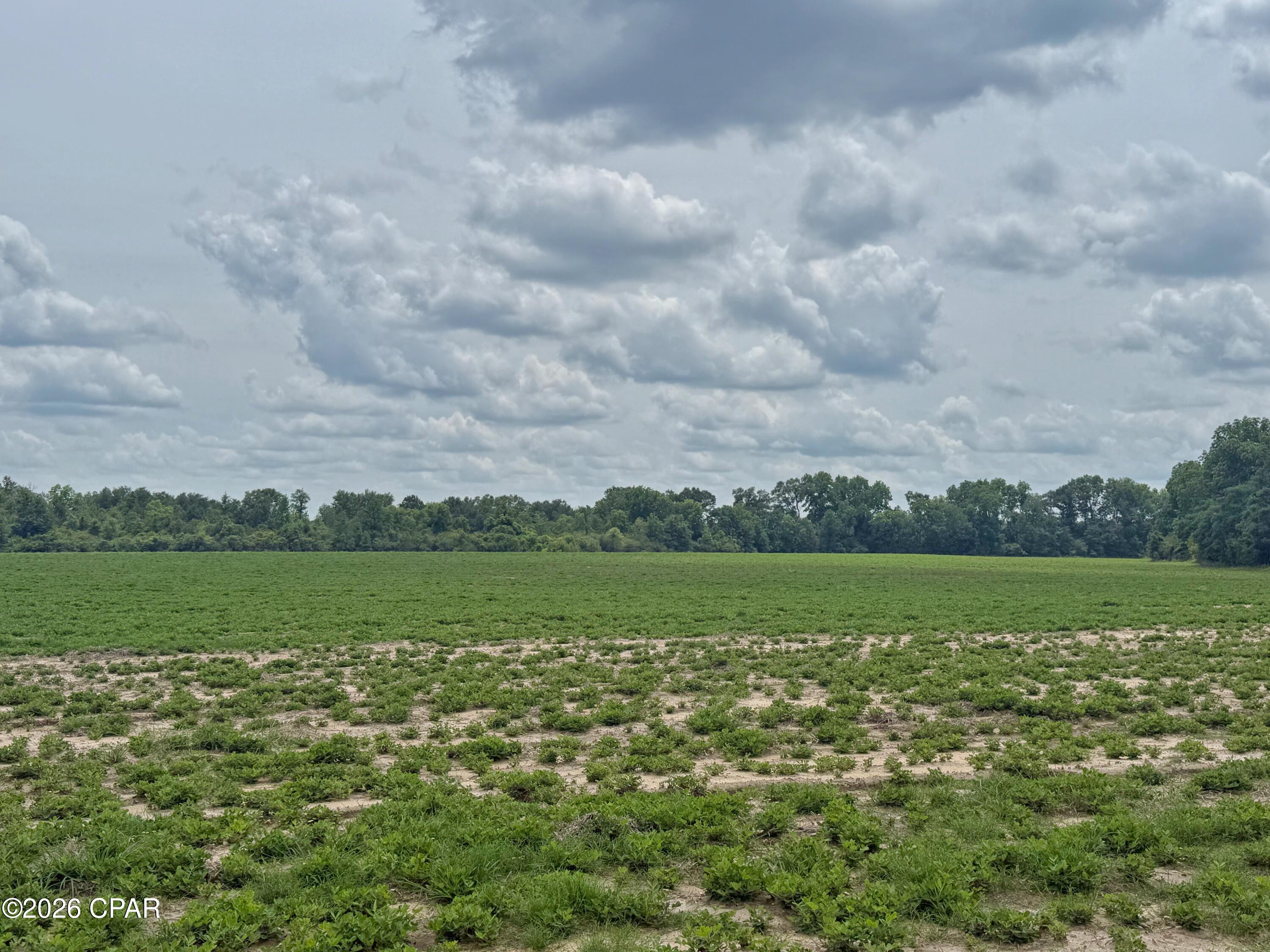 Image 3 For 5107 Cloverdale Road