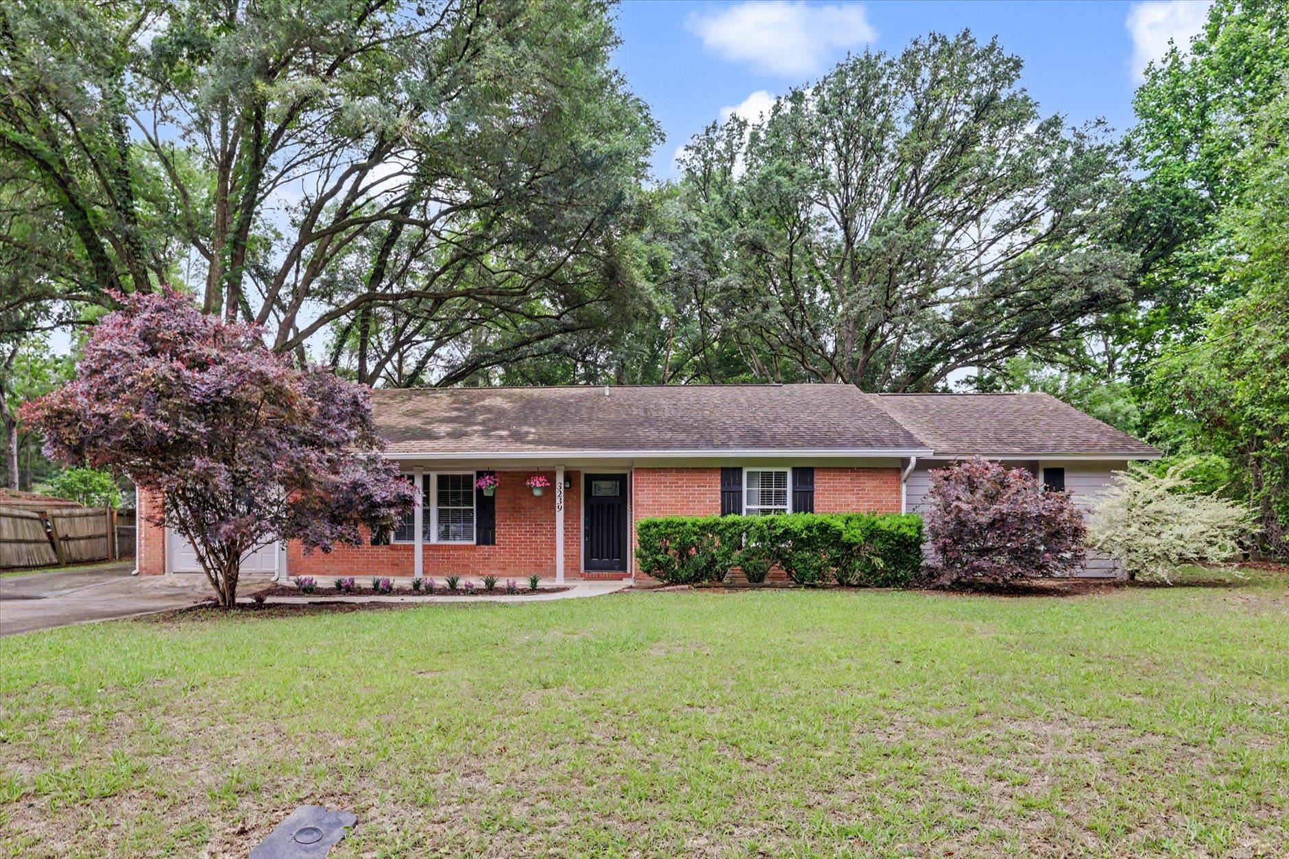 3239  Affirmed Court , Tallahassee, FL, 