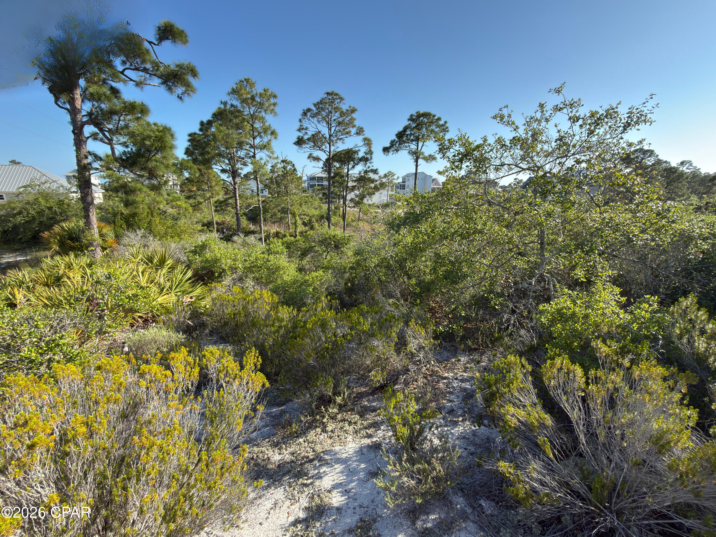 Image 6 For 105 Sand Trace Drive