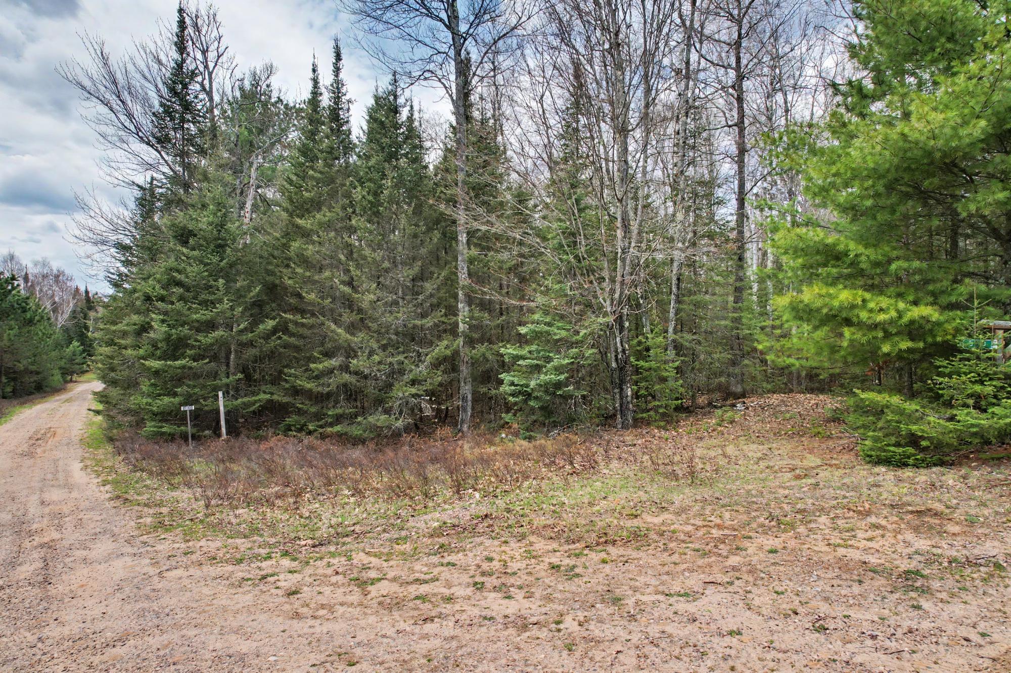 Sand Lake Property Lot On Sand Lake Rd Photo 4