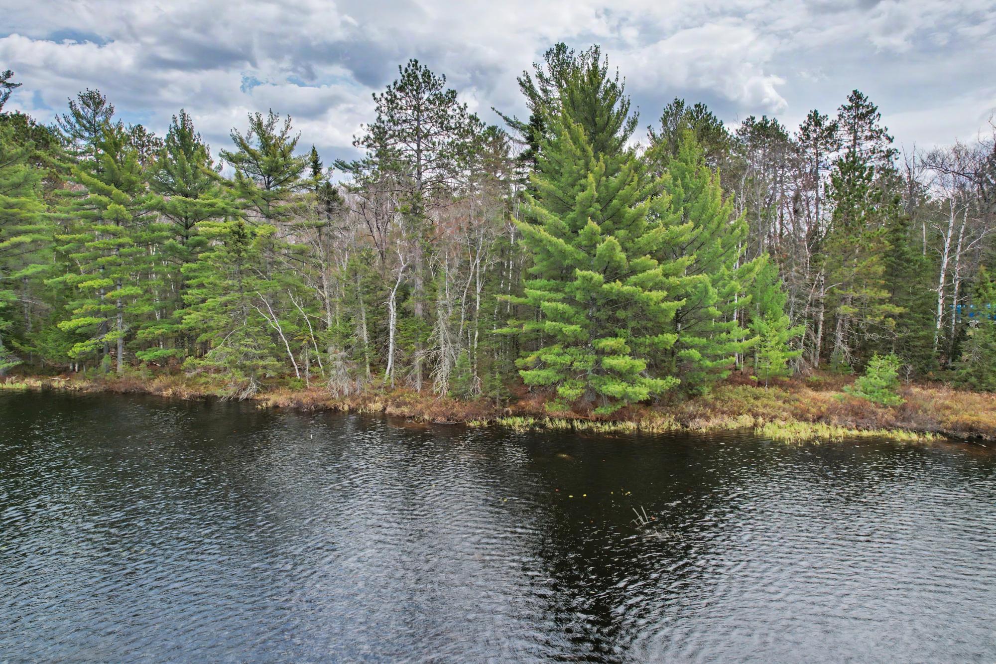 Sand Lake Property Lot On Sand Lake Rd Photo 8