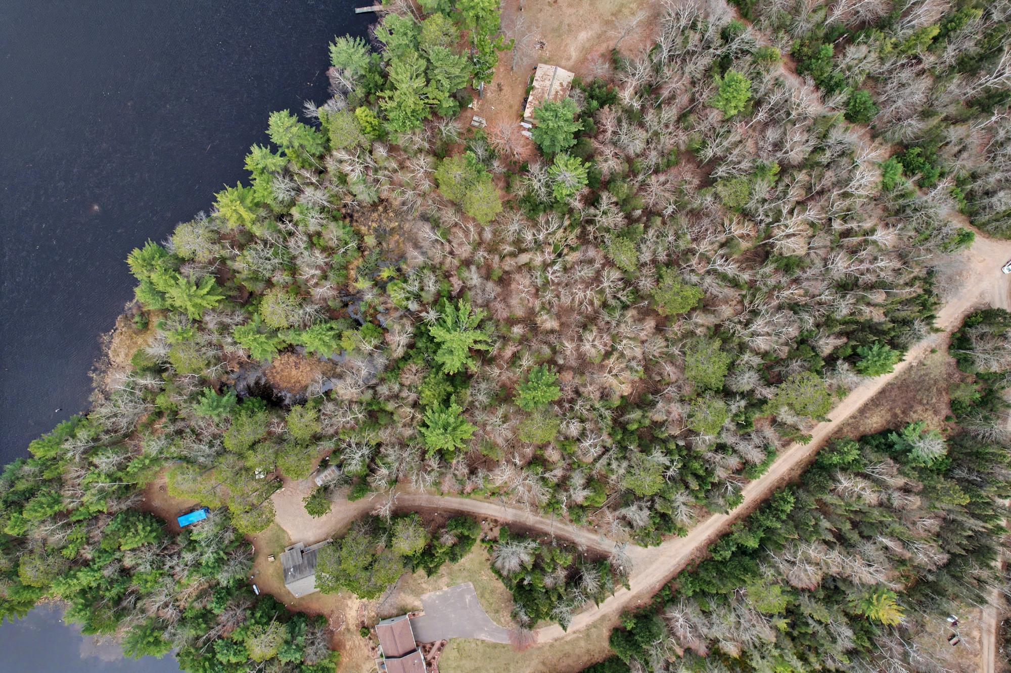 Sand Lake Property Lot On Sand Lake Rd Photo 9