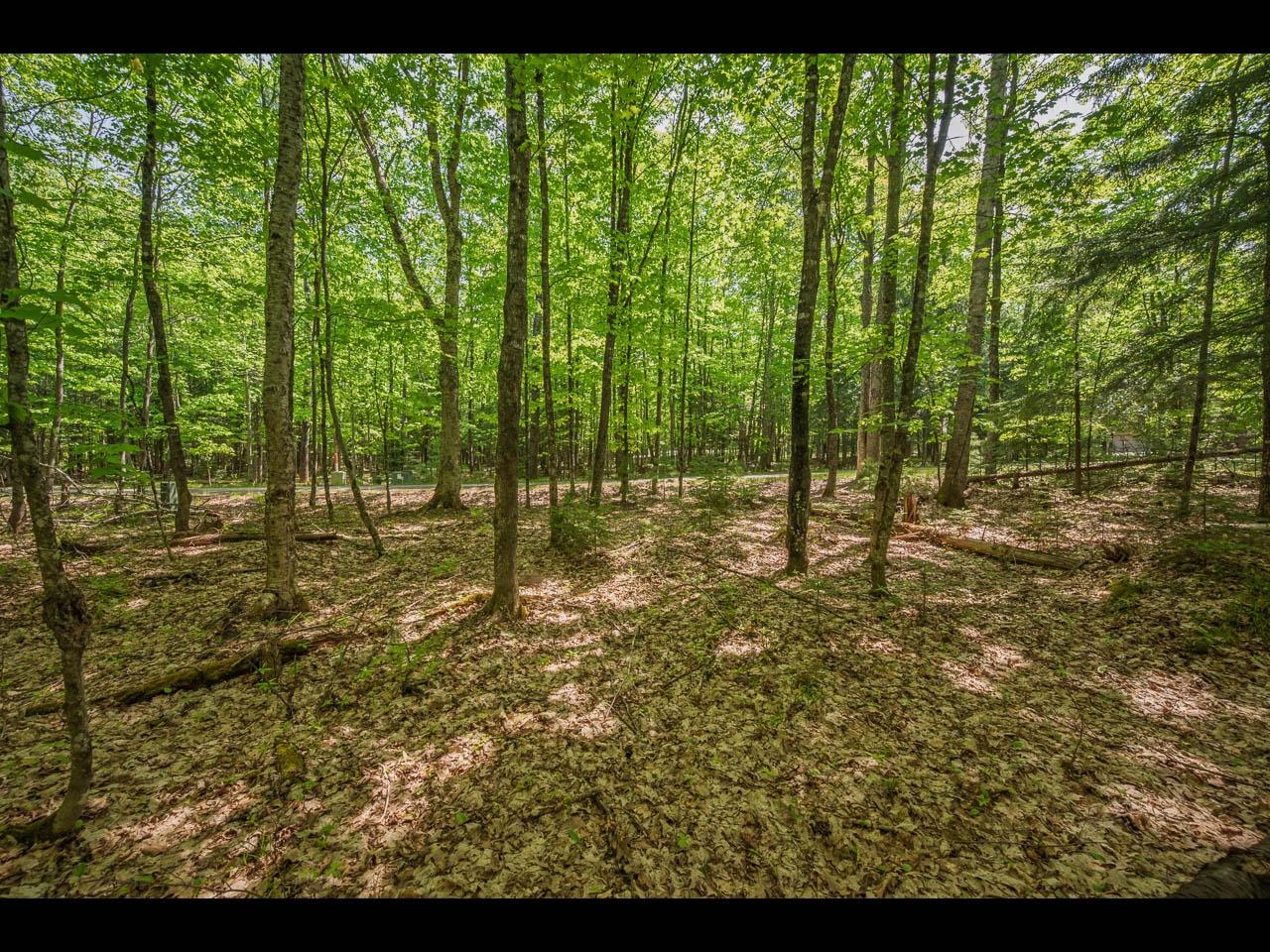 Clearwater Lake Property Lot 25 Bonita Pt Photo 5