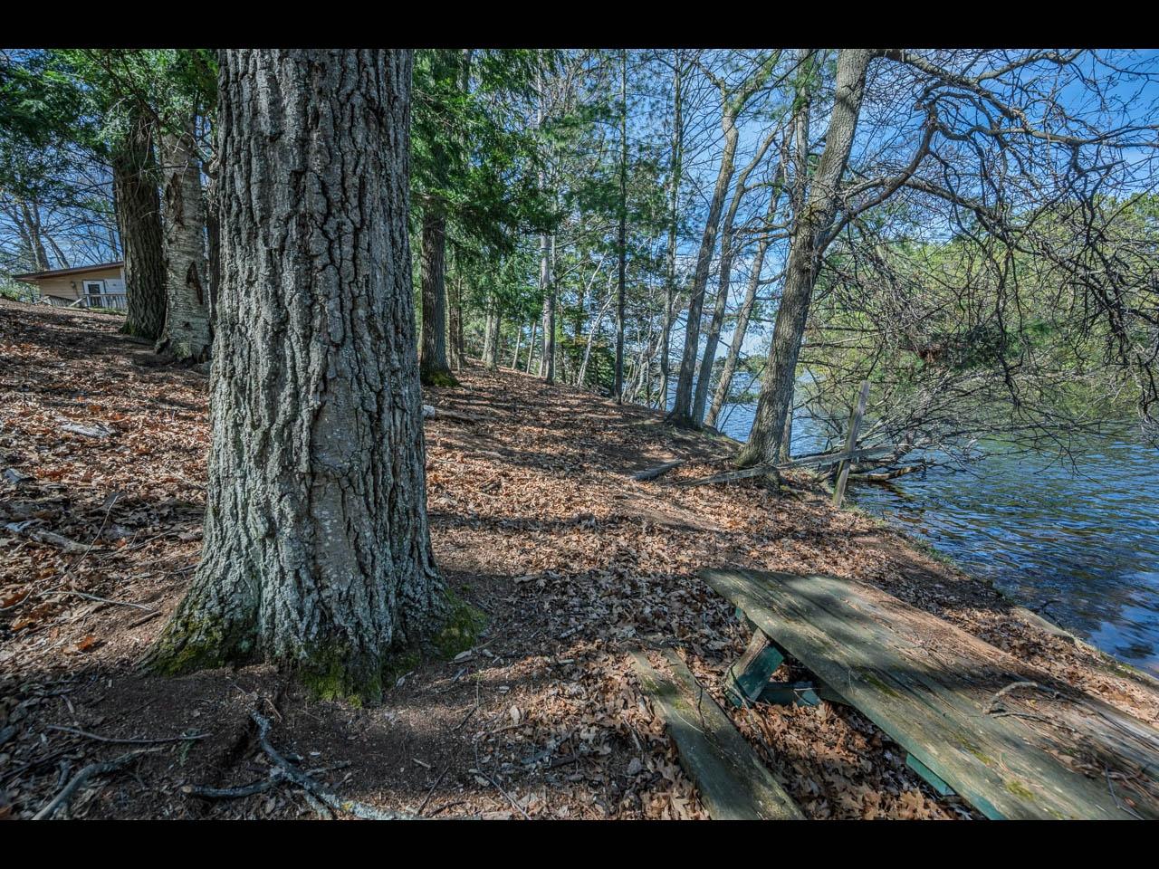 Yellow Birch Lake Property 1766 Mckinley Blv Photo 14