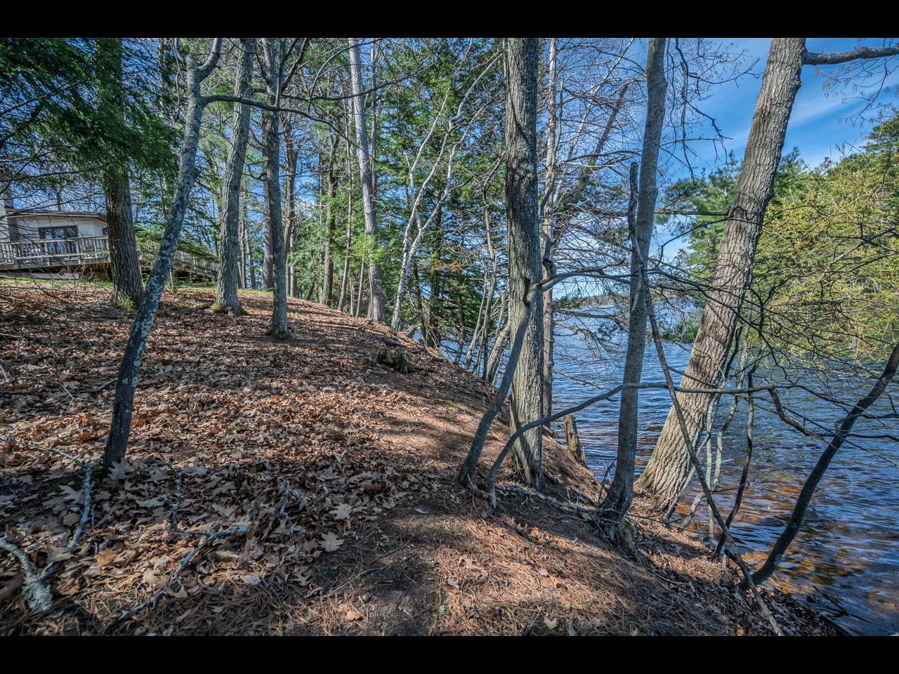 Yellow Birch Lake Property 1766 Mckinley Blv Photo 17