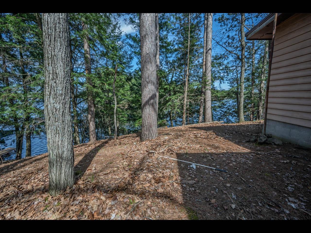 Yellow Birch Lake Property 1766 Mckinley Blv Photo 7