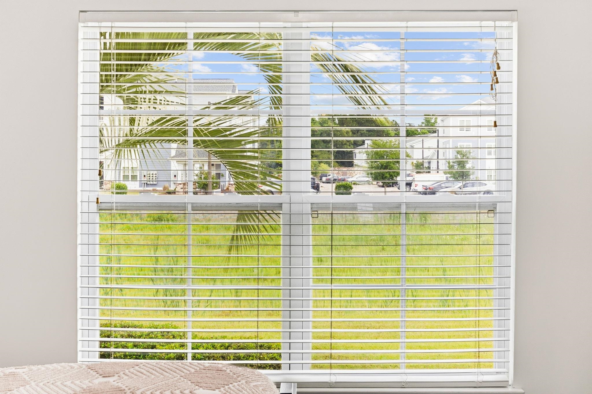 2612329 | Photo 13