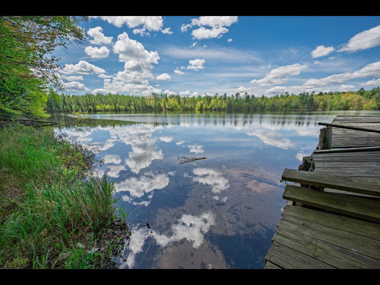 Malby Lake Property 10405 Howards End Rd Photo 3