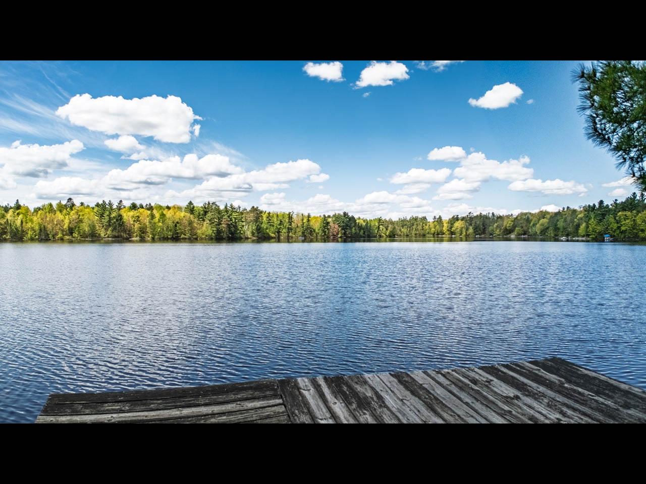 Malby Lake Property 10405 Howards End Rd Photo 41