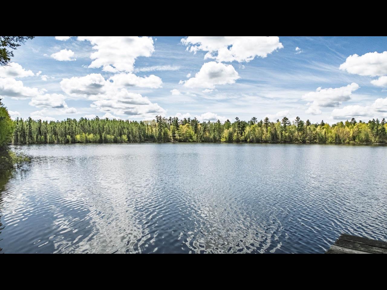 Malby Lake Property 10405 Howards End Rd Photo 42