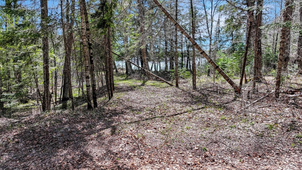 Pardee Lake Property TBD Pardee Lake Ln E Photo 10