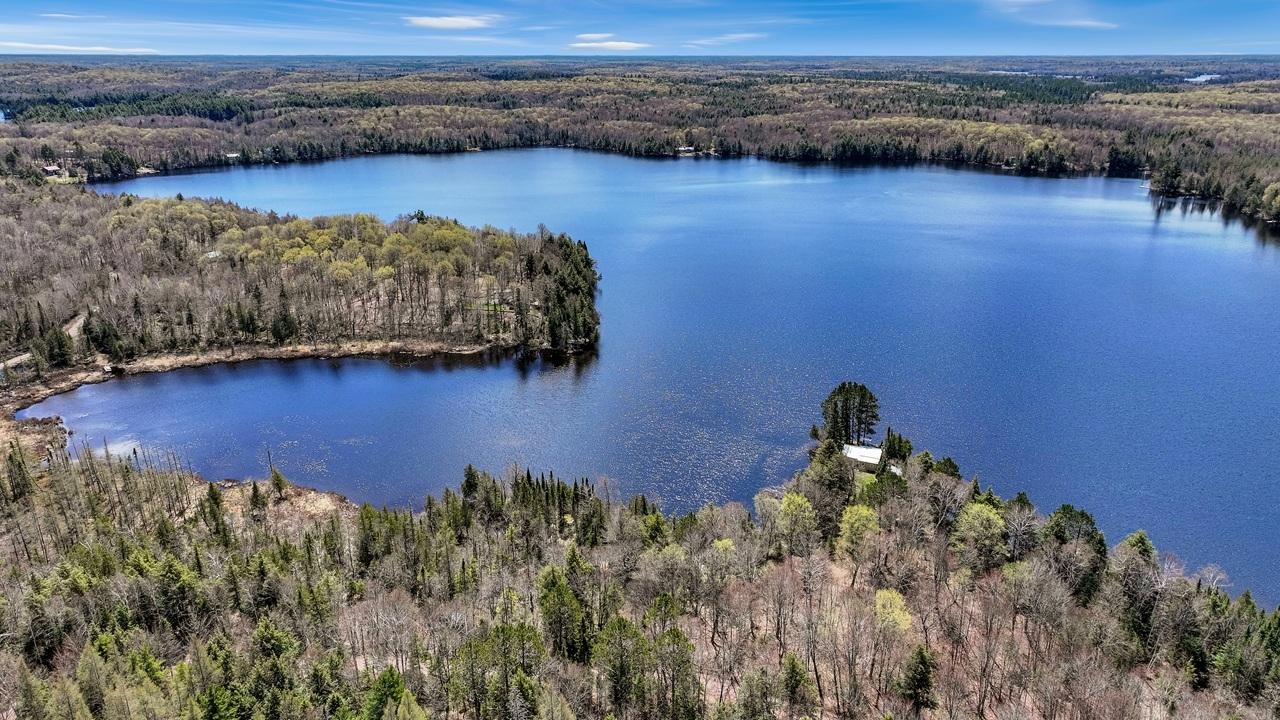 Pardee Lake Property TBD Pardee Lake Ln E Photo 18