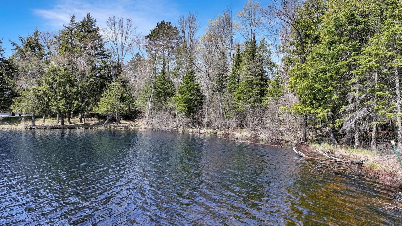 Pardee Lake Property TBD Pardee Lake Ln E Photo 3