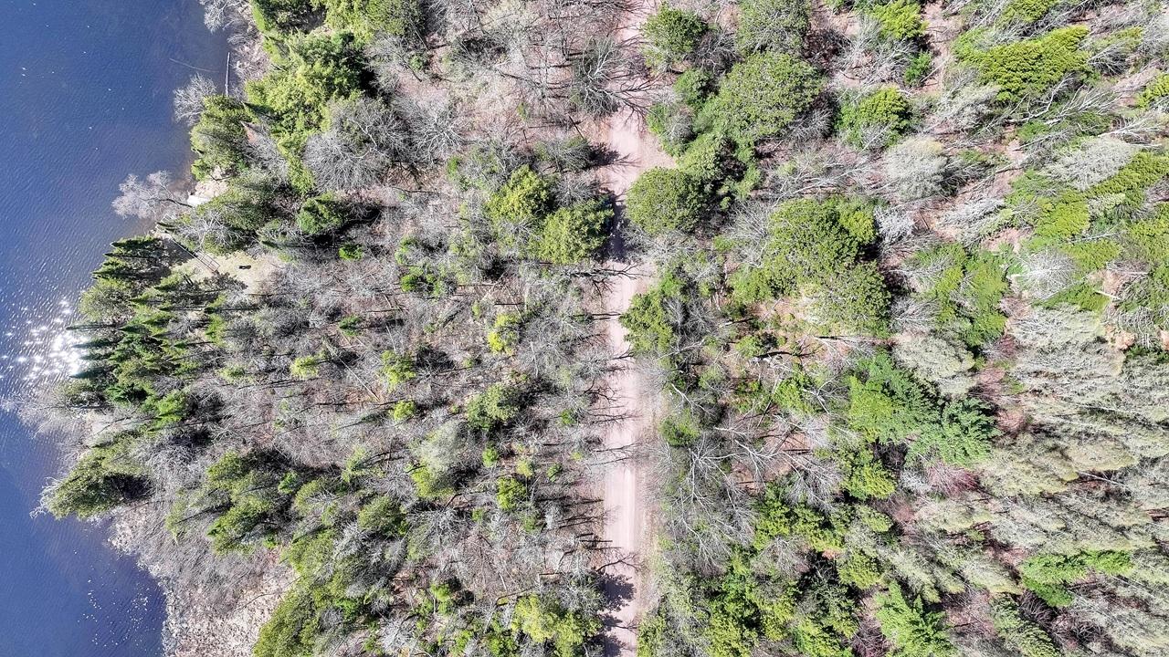 Pardee Lake Property TBD Pardee Lake Ln E Photo 7