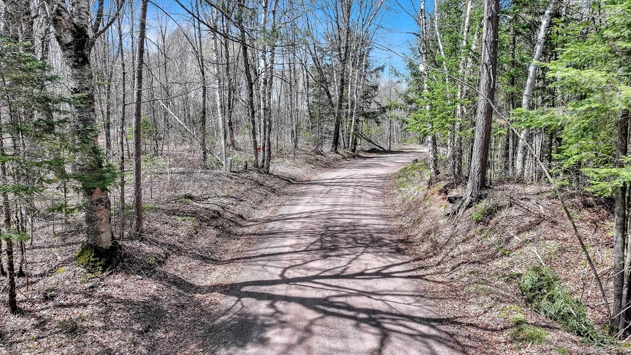 Pardee Lake Property TBD Pardee Lake Ln E Photo 8