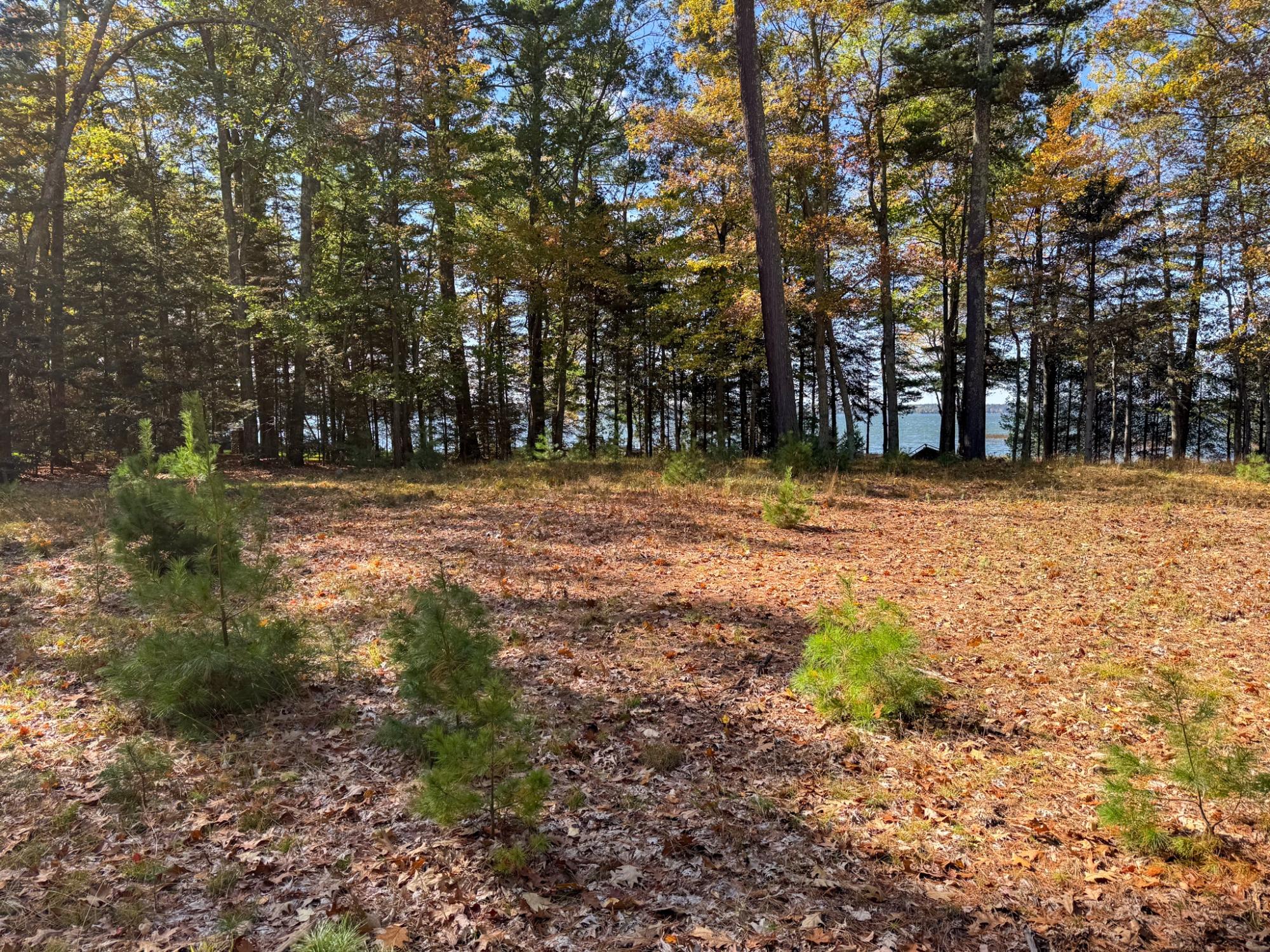 Big St. Germain Property Lot 2 Bear Run Ln Photo 11